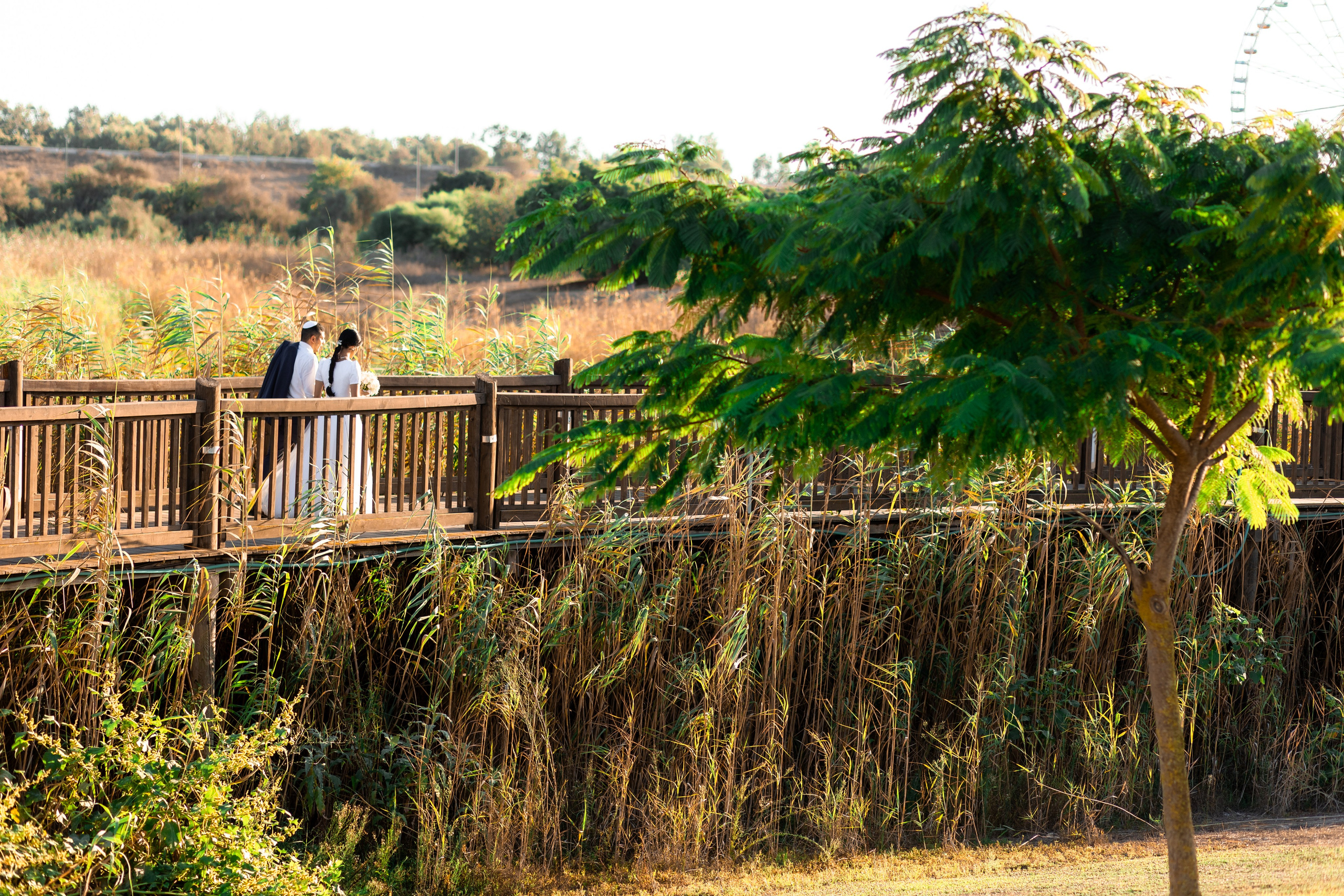 Y & E. משה מנשה צלם חתונות