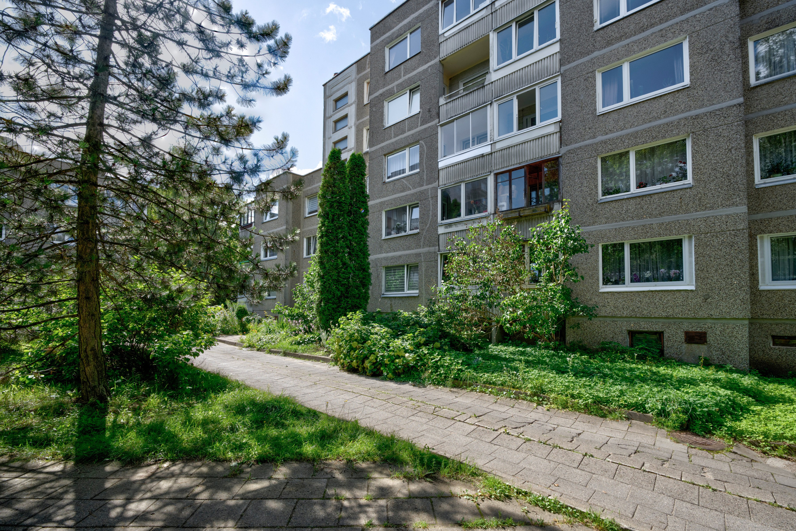 Gabijos g. Elina Sapiega fotografė Vilniuje