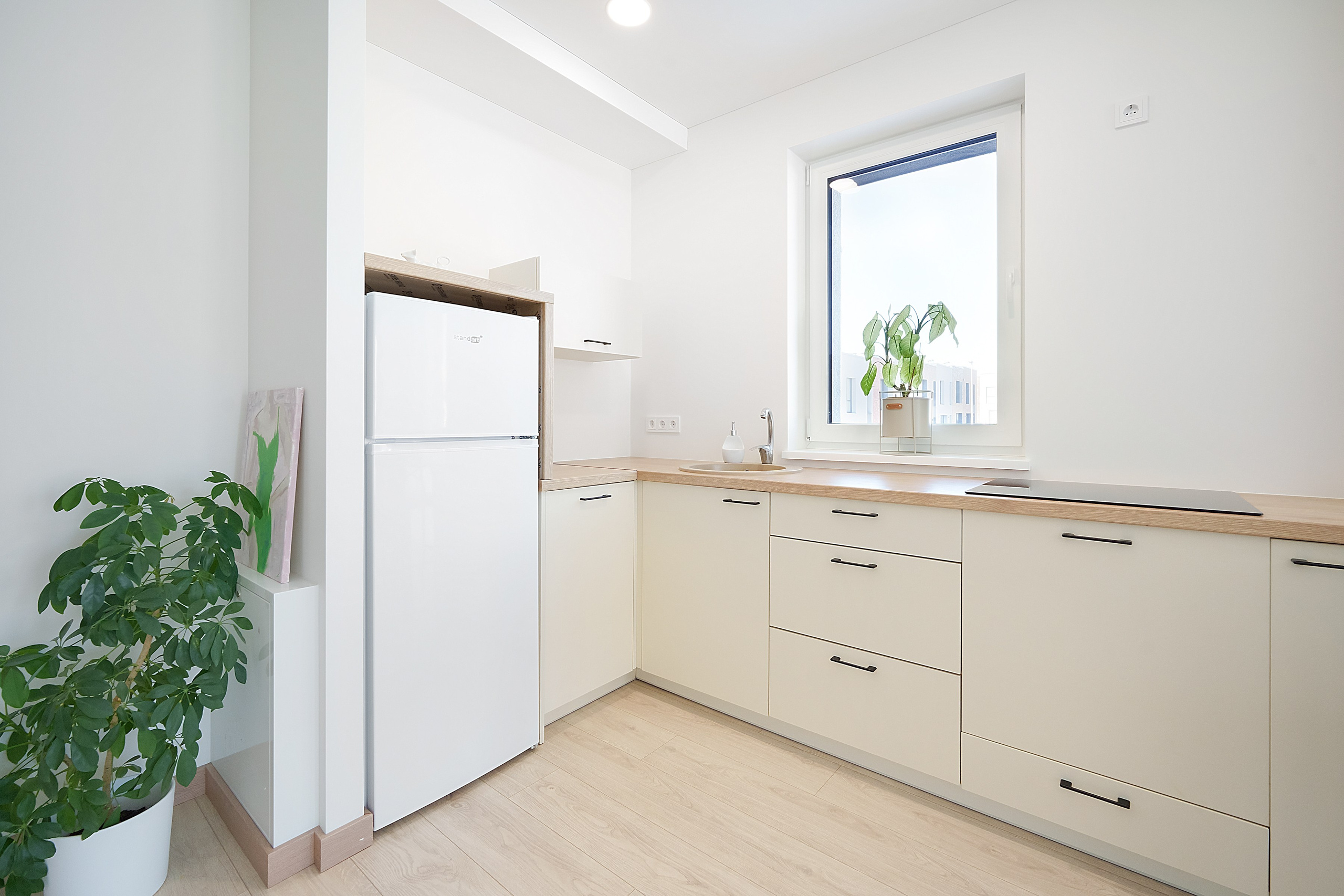 Helsinkio. Elina Sapiega fotografė Vilniuje