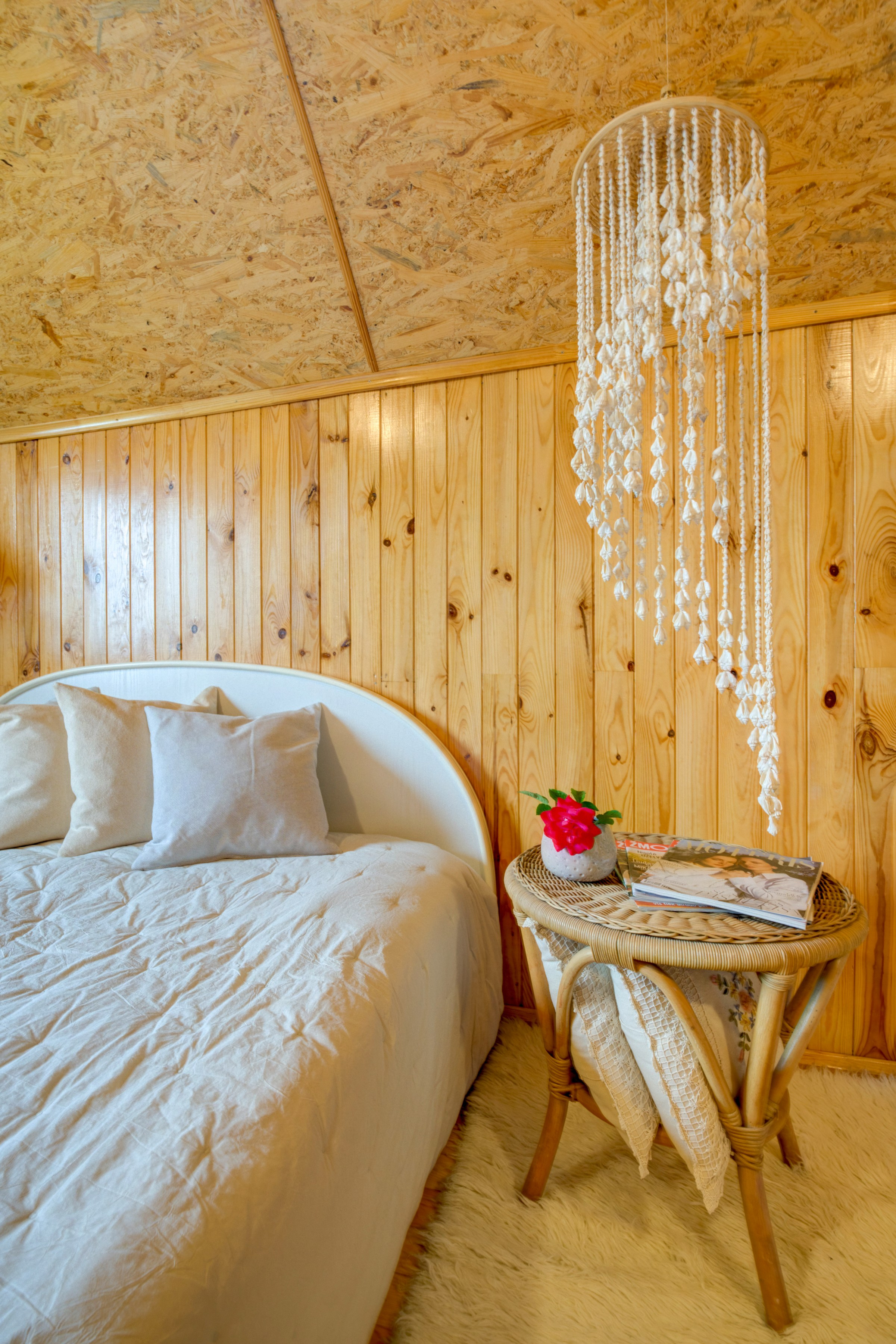 Varėnos raj. Elina Sapiega fotografė Vilniuje