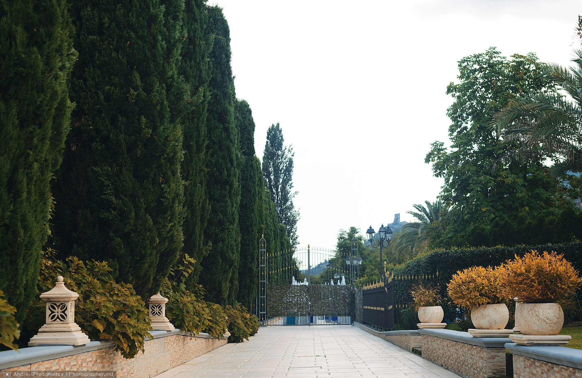 Nunta la Parco Del Principe, Italia - fotograf Andrei Zveaghintev. Fotograf nunta si familie in Moldova, Chisinau - Andrei Zveaghintev