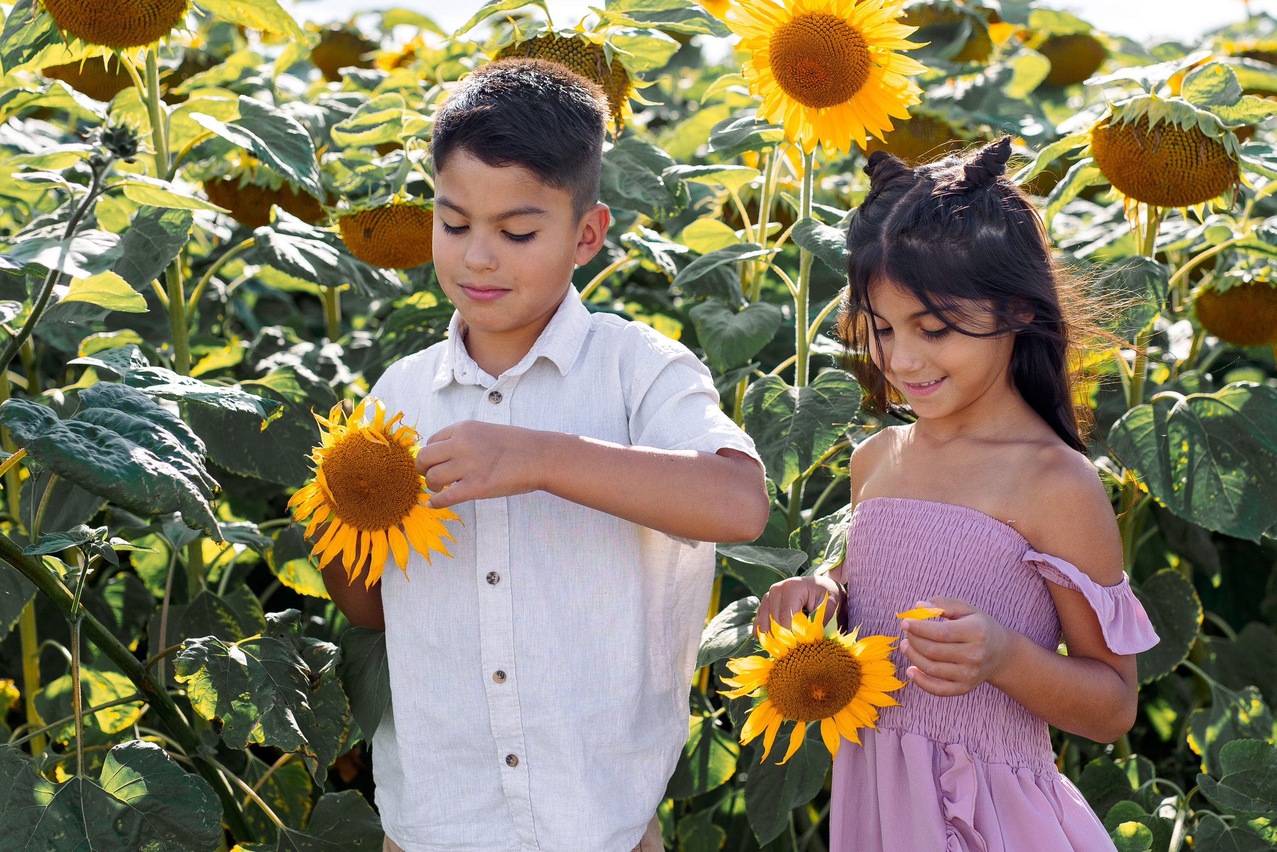 Familien Fotoshooting in Wickede. Fotograf NRW aus Wickede Ruhr, Milla Kunst