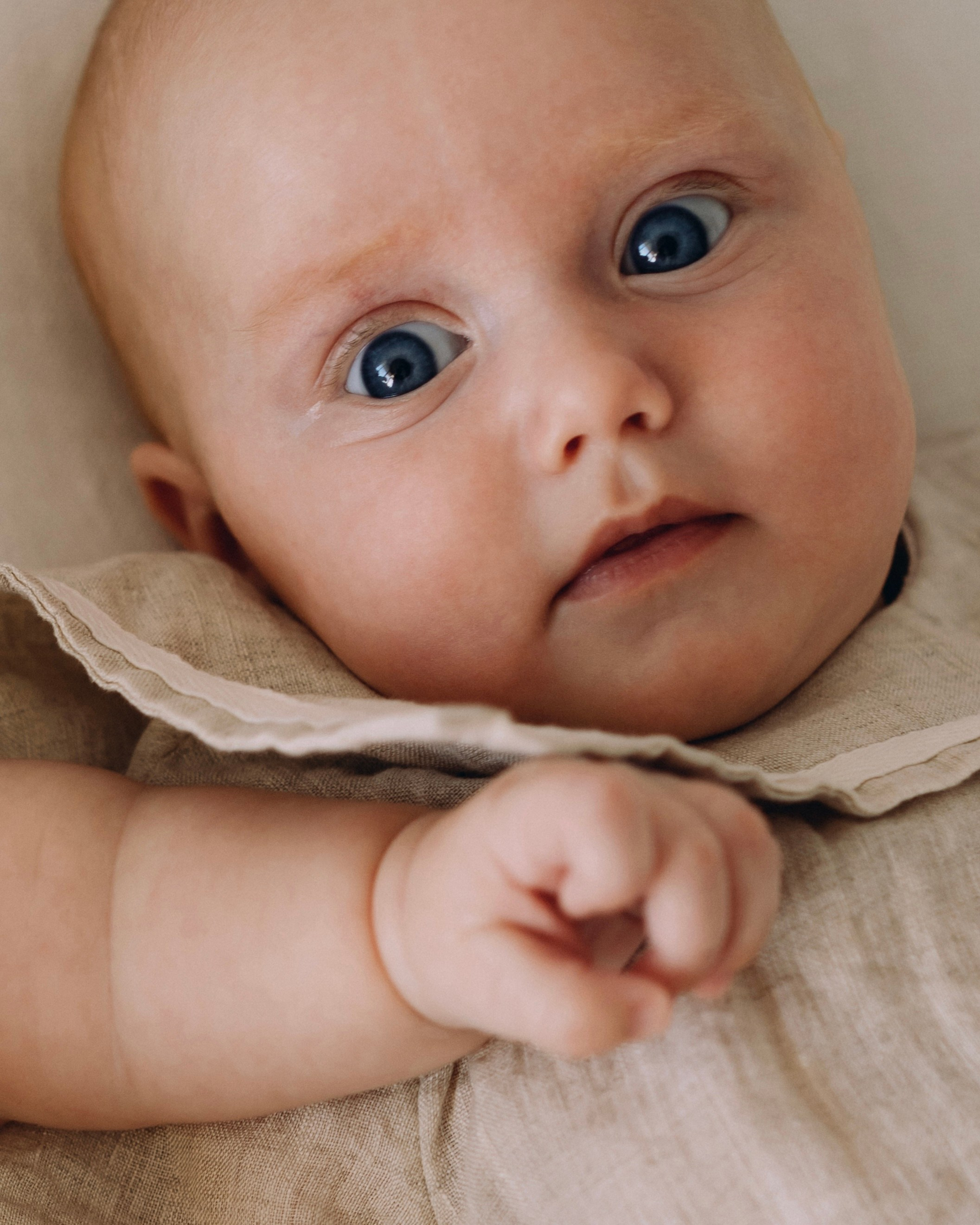 Newborn Twins. Elena Pretzner Photography