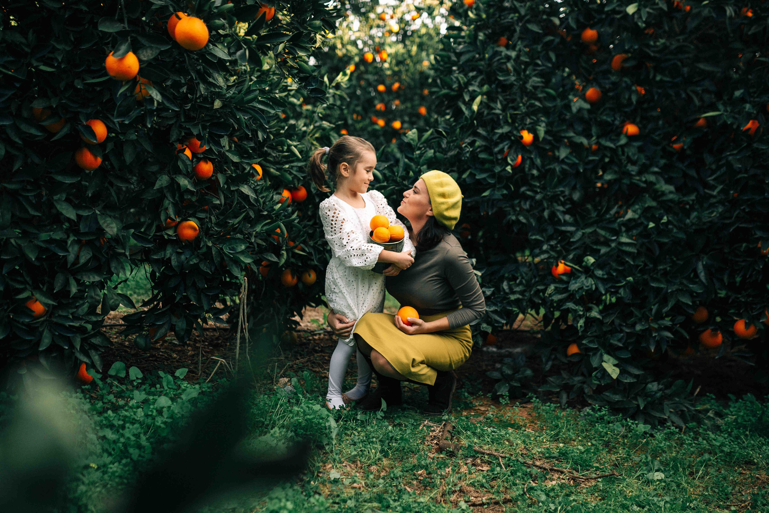 MANDARNINE GARDEN. Https://shi-photo.com/