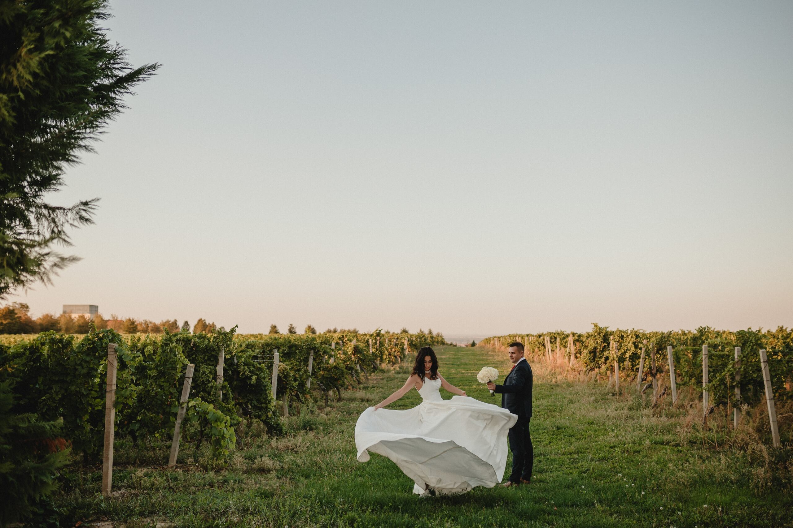 Portfolio. Wedding photographer based in Novi Sad, Marko Milivojevic