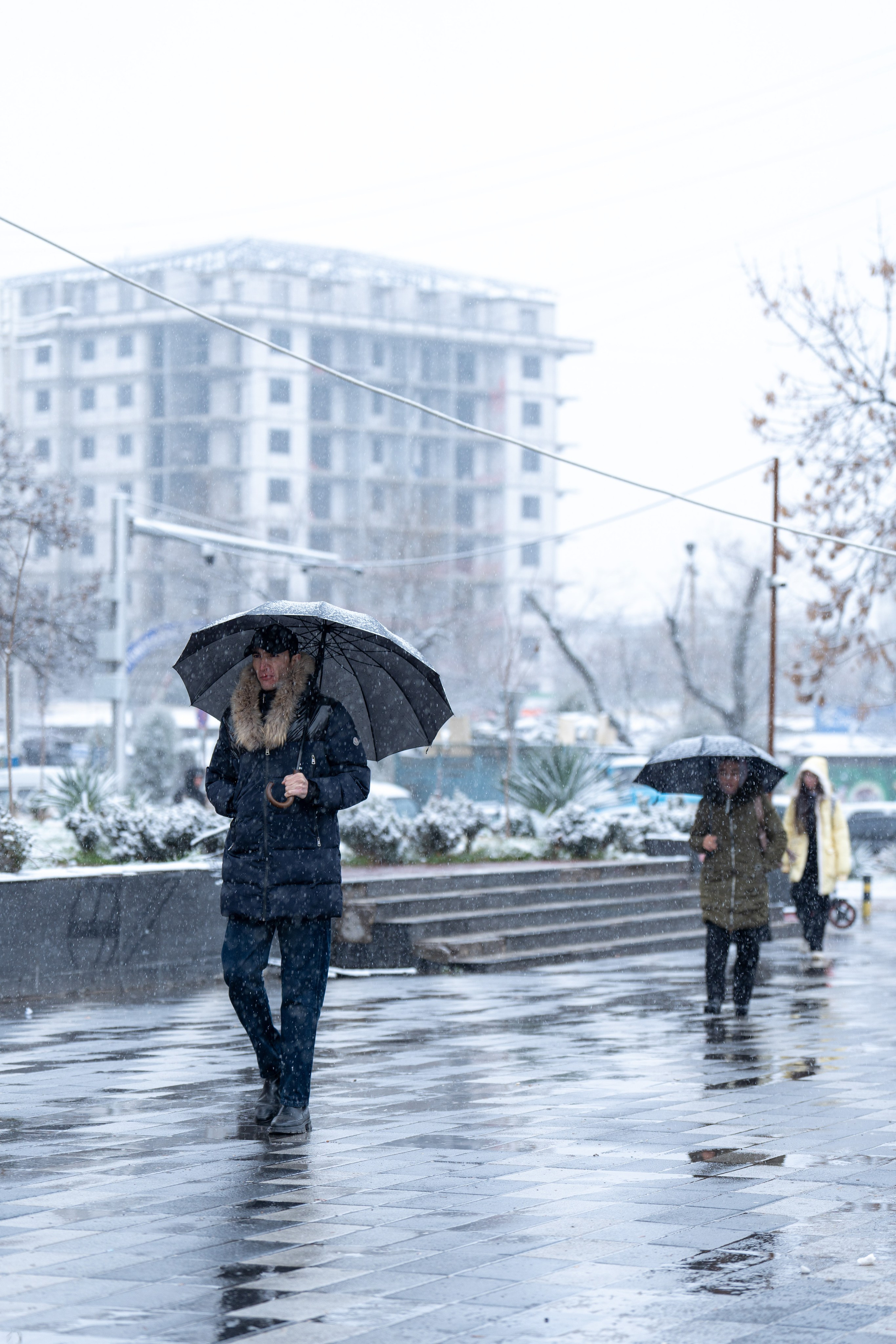 Первый снег в 2024 году. Георгий Намазов | Фотограф в Ташкенте