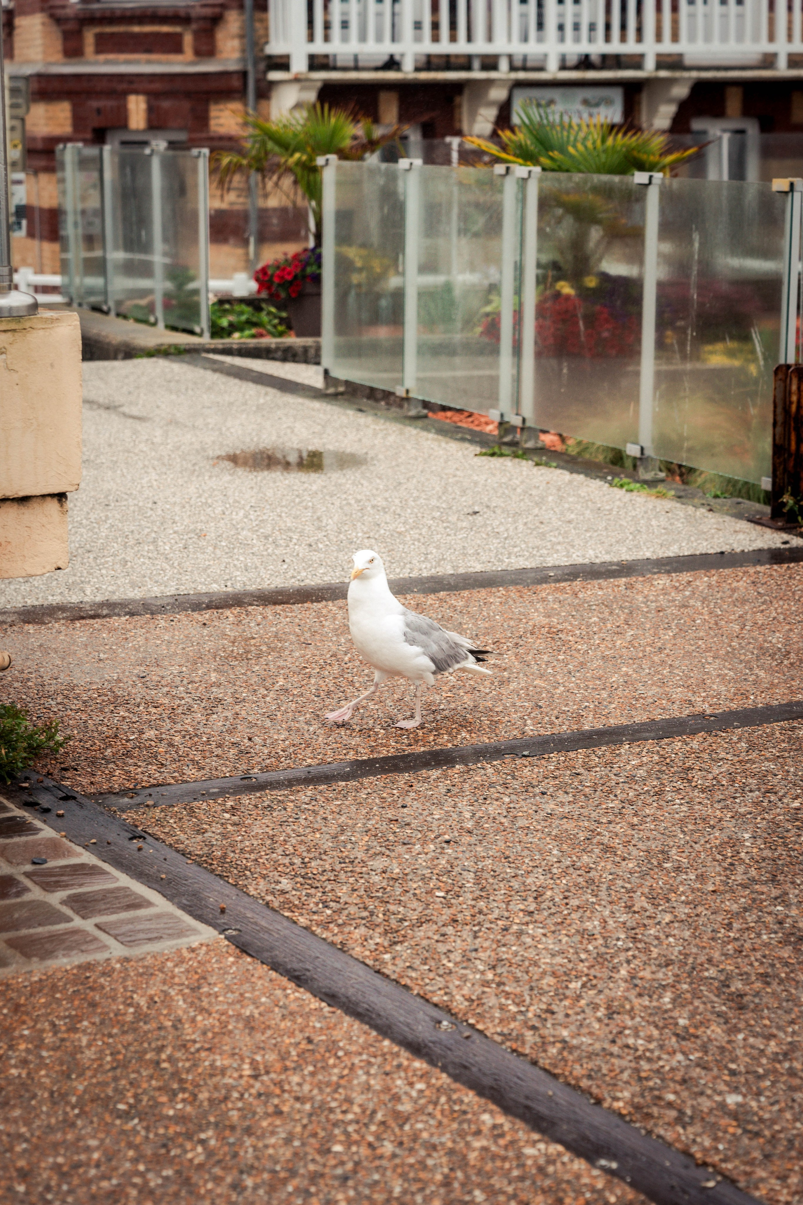 Etretat, Normandie, France