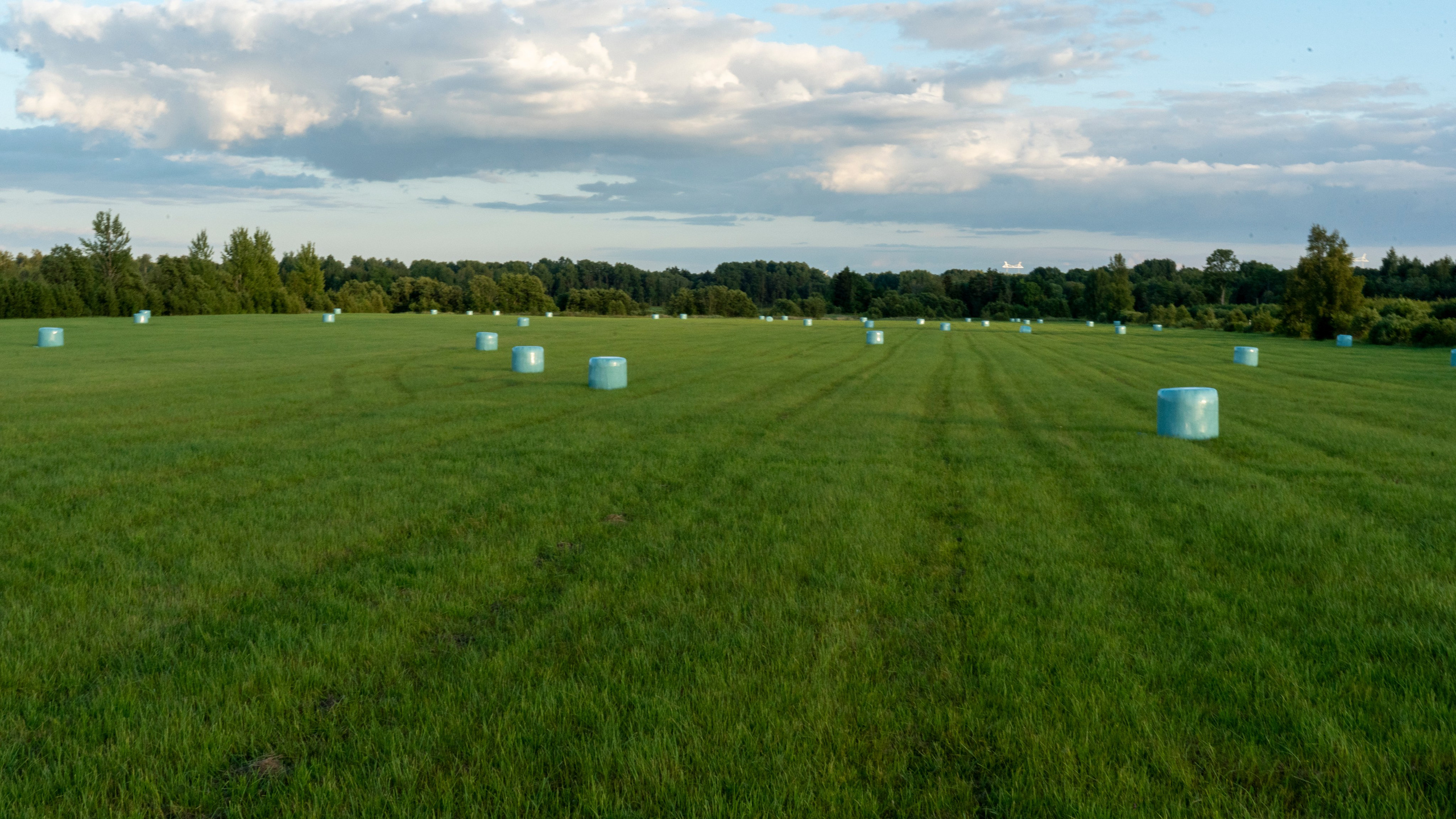 Whispers of Estonia. Photography | Videography | Marketing