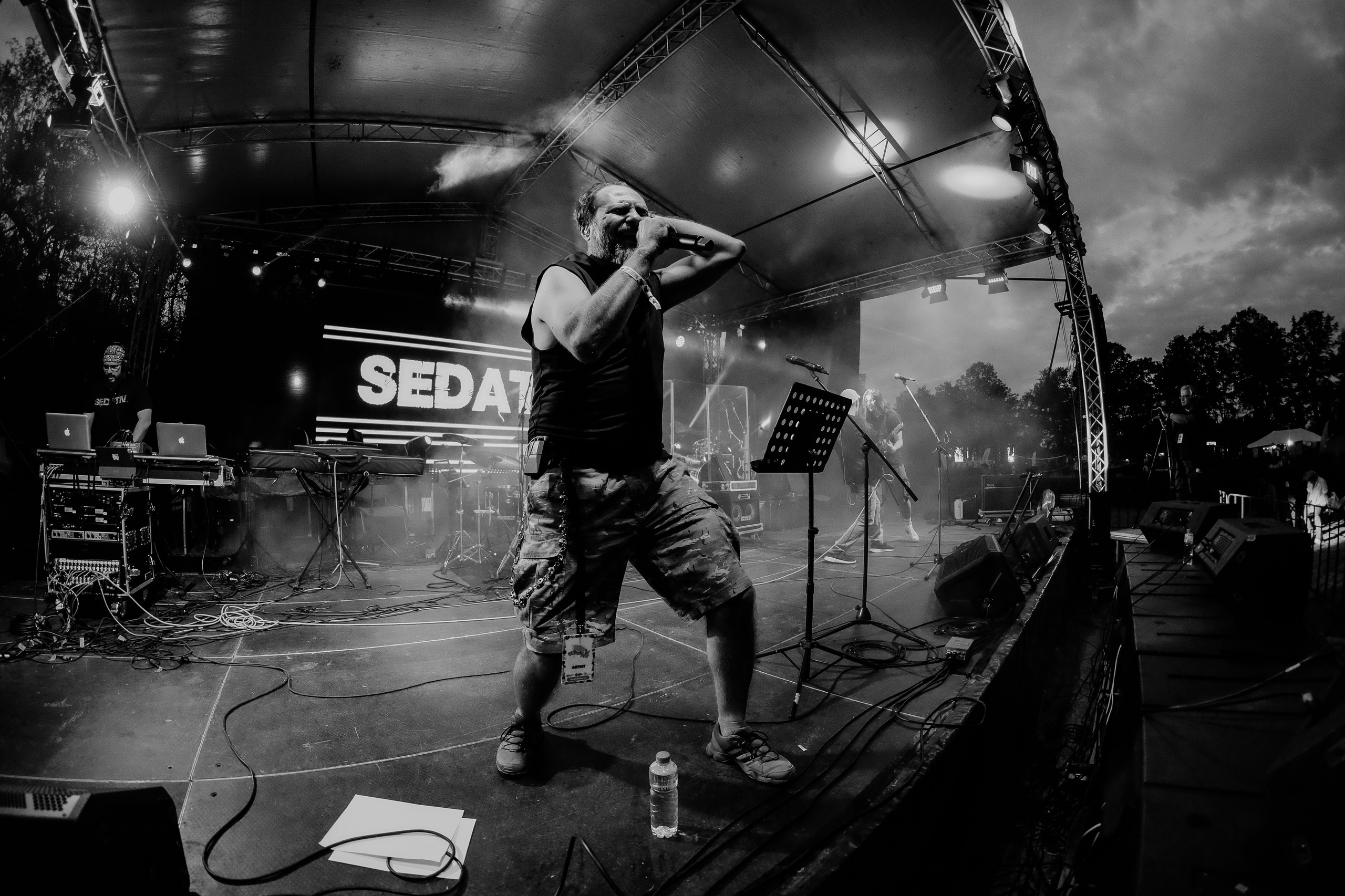 Sedativ. Hornetart