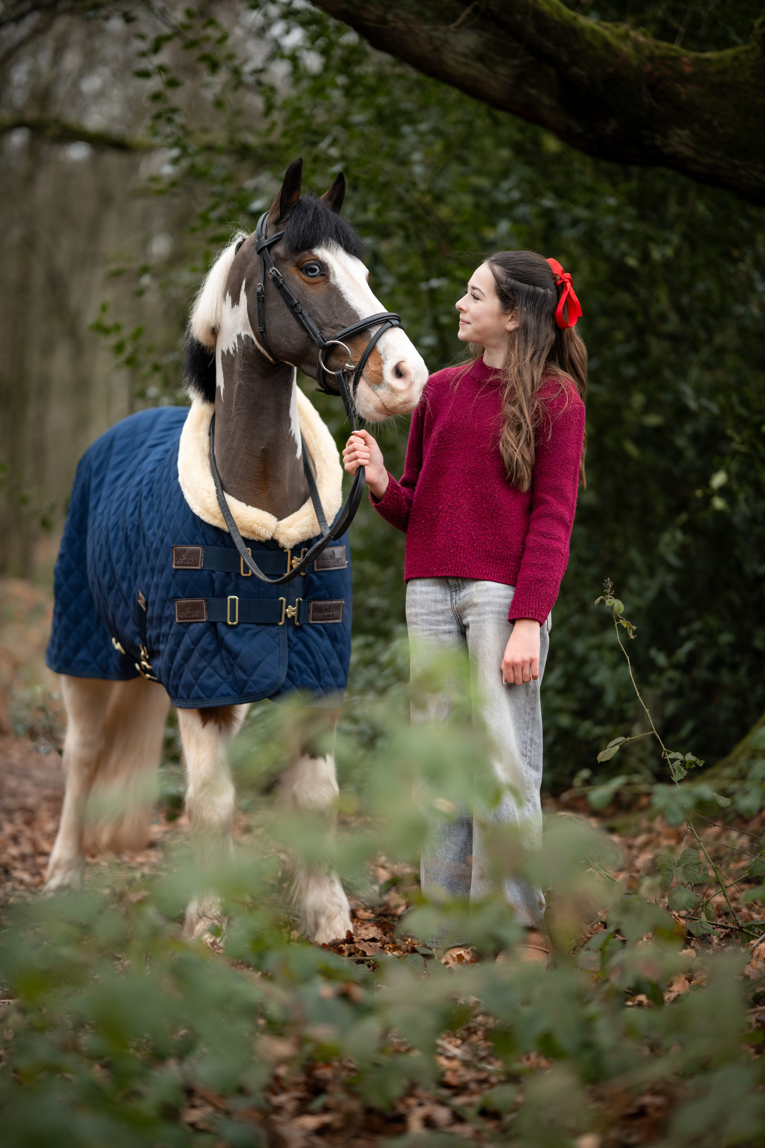 Equine Photography Portfolio | Leicestershire Horse Portrait Photographer. Leicestershire Equine Photography by El | Authentic Equine Portraits & Events