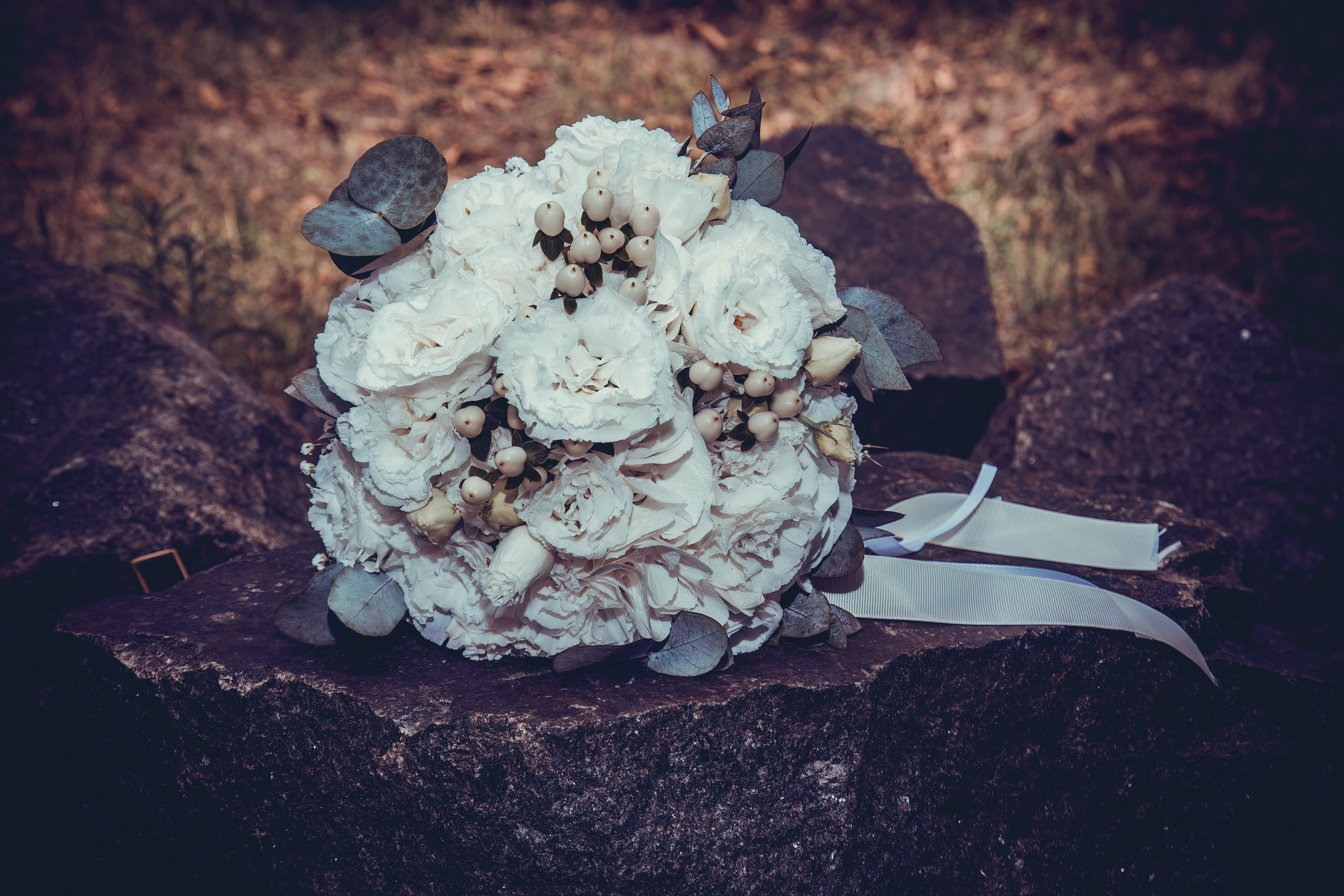 Video. Studio „Fantezia”