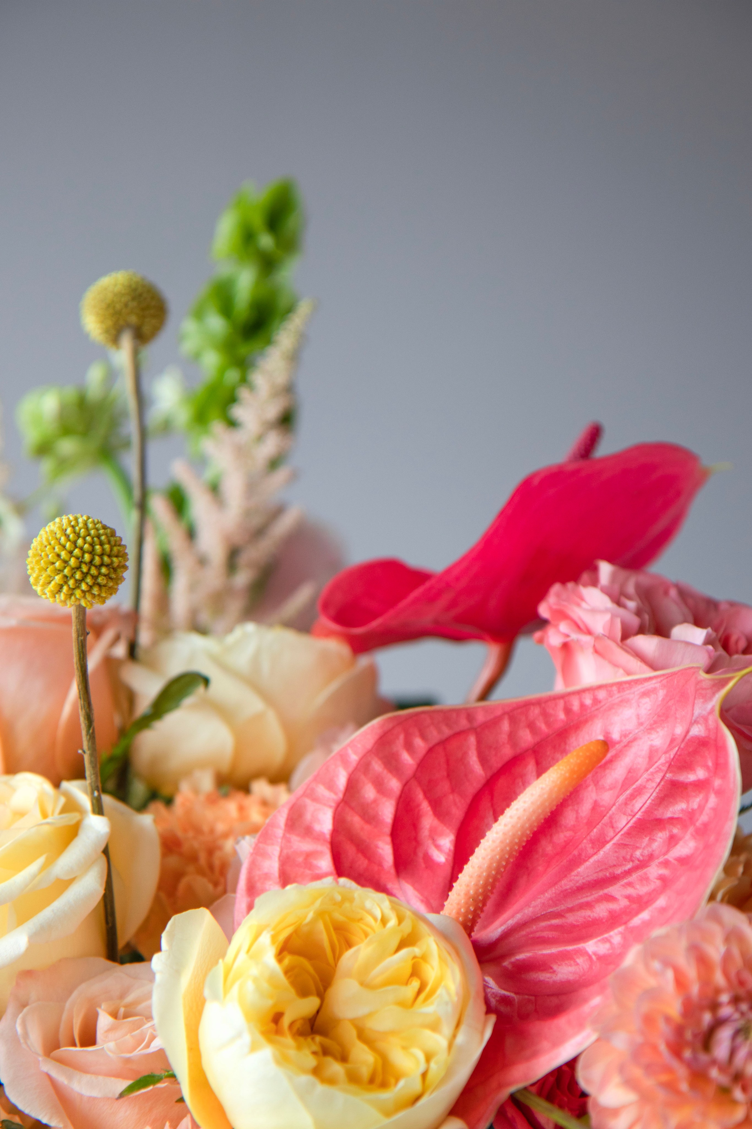 043. Palagina Ksusha, photographer in NY