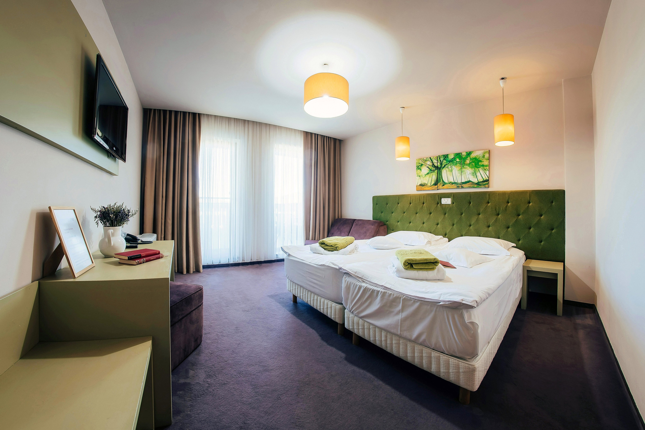 Pensiuni. George Boicu — Fotograf — Gura Humorului