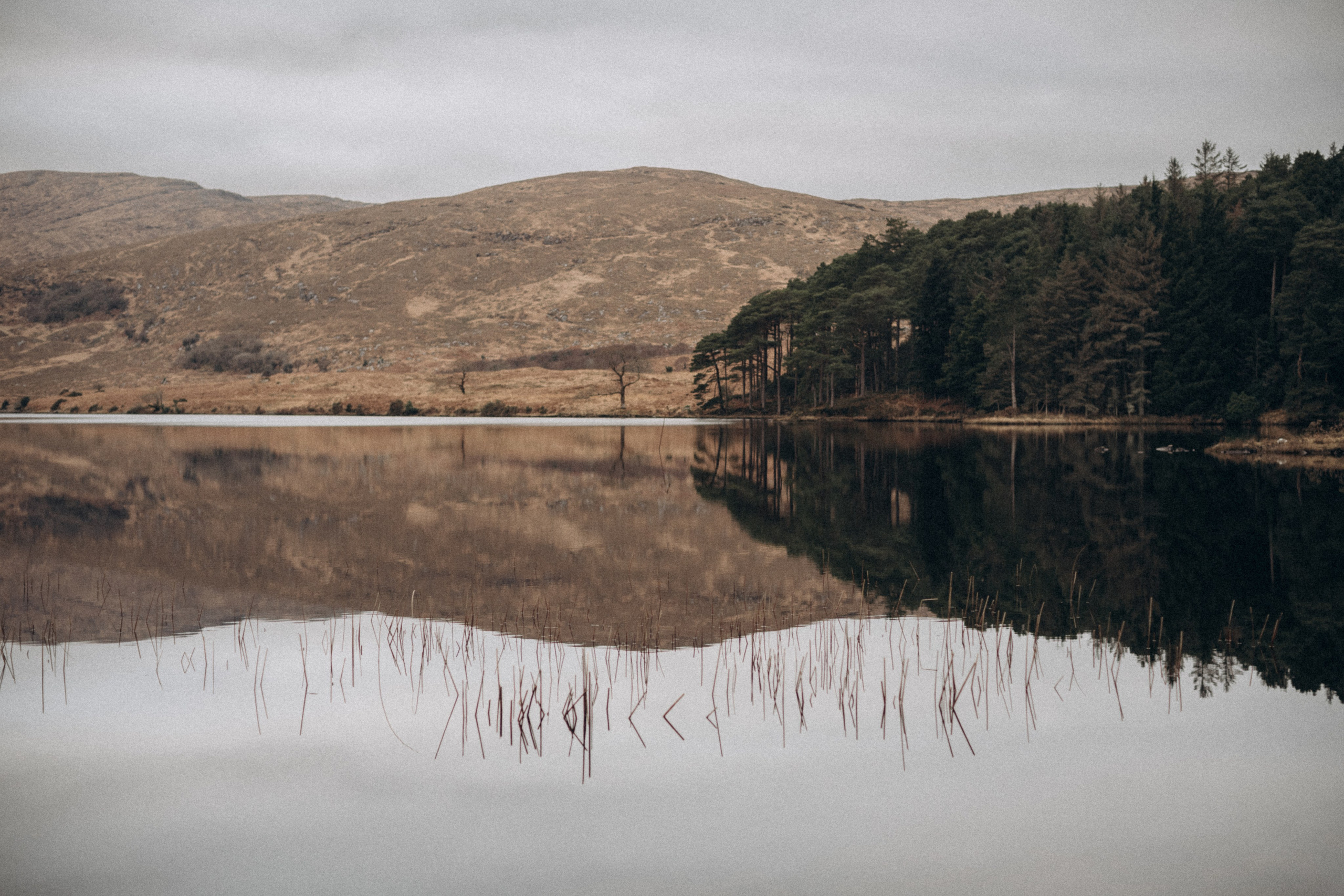 Colleen and Dermot engagement in Donegal. Wedding & Family photographer in County Donegal and Dublin, Ireland