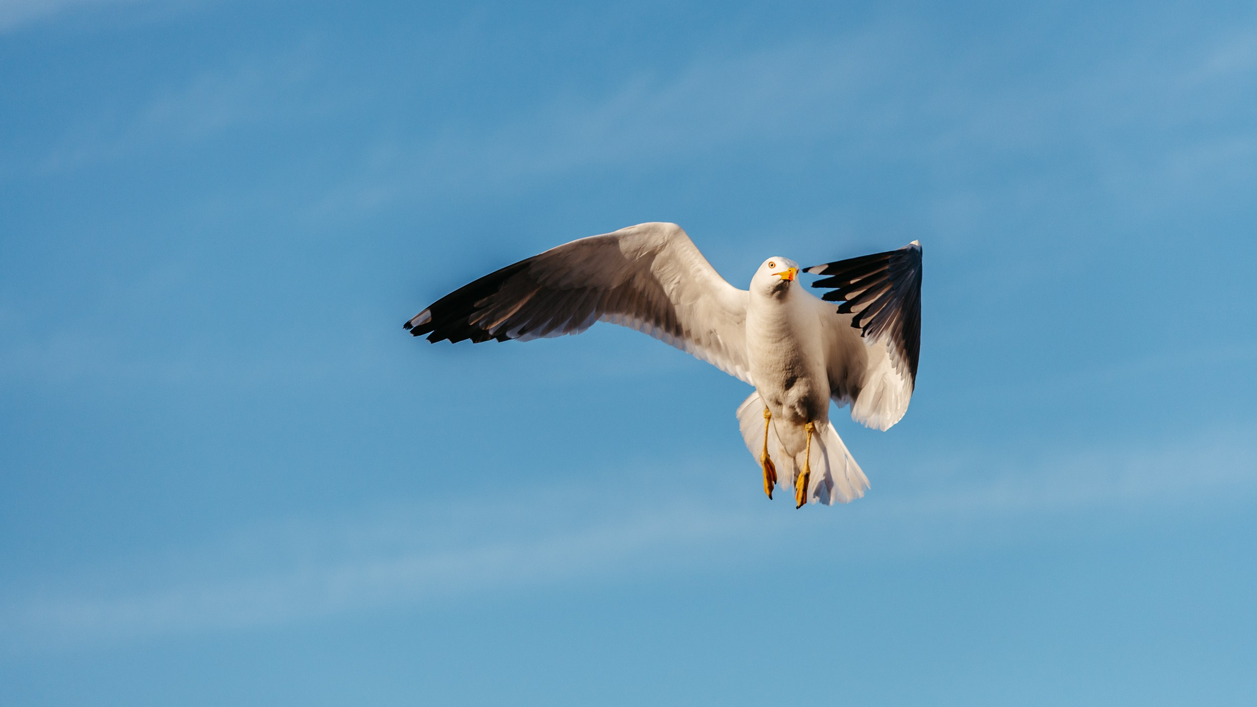 Barcelona. Marius Ciocan