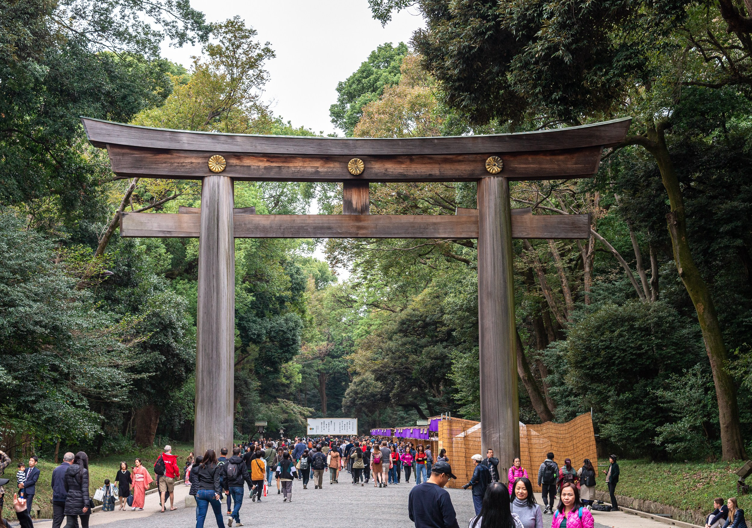 Japan. Marius Ciocan
