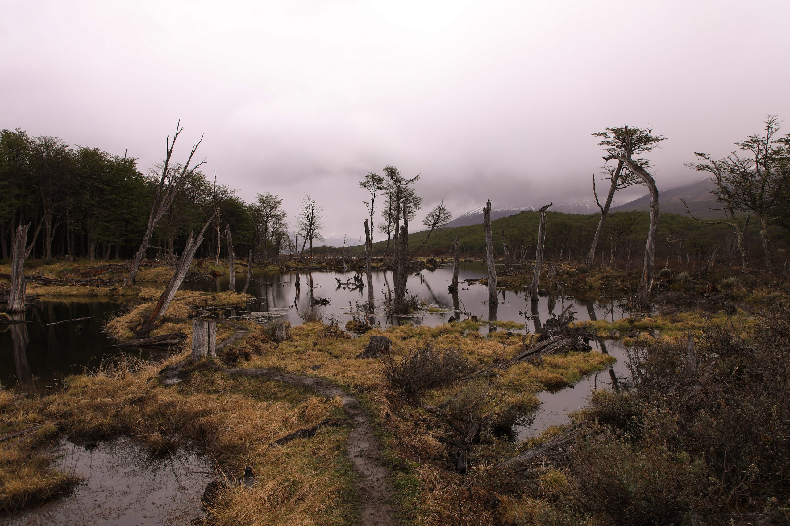 PATAGONIE. Photographe Karen Tatevosian