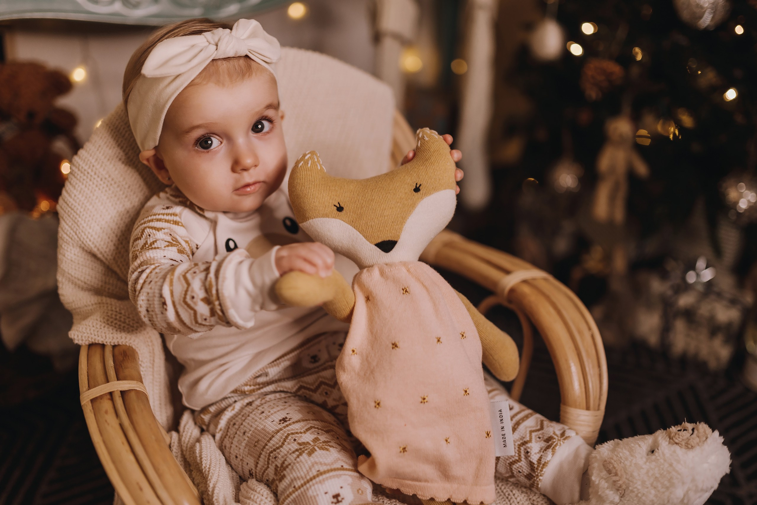 09.12.2023 Christmas Photoshoot. Wedding family event photographer in Chicago Nick Yushevich