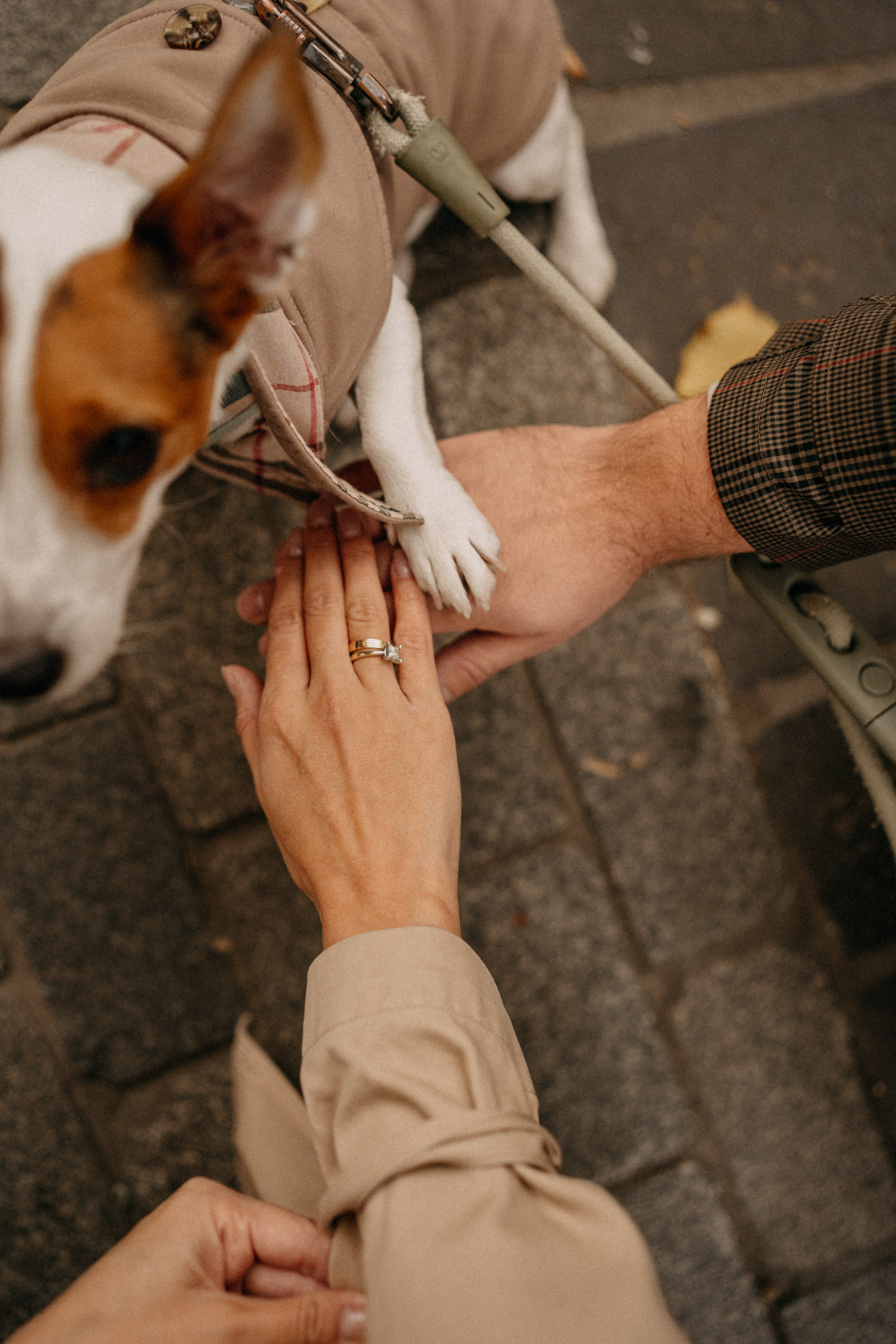 Зу & Саша. Фотограф Москва Ларина Юлия
