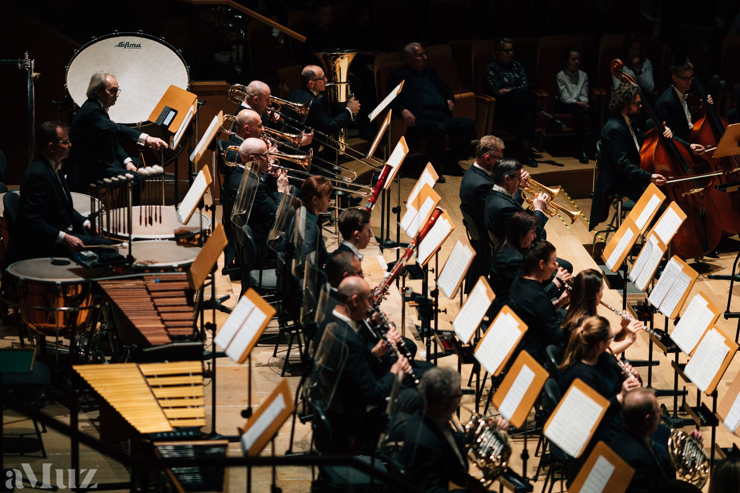 Filharmonia Bałtycka. Fotograf Ślubny Warszawa - Sesje Biznesowe Rodzinne Eventy