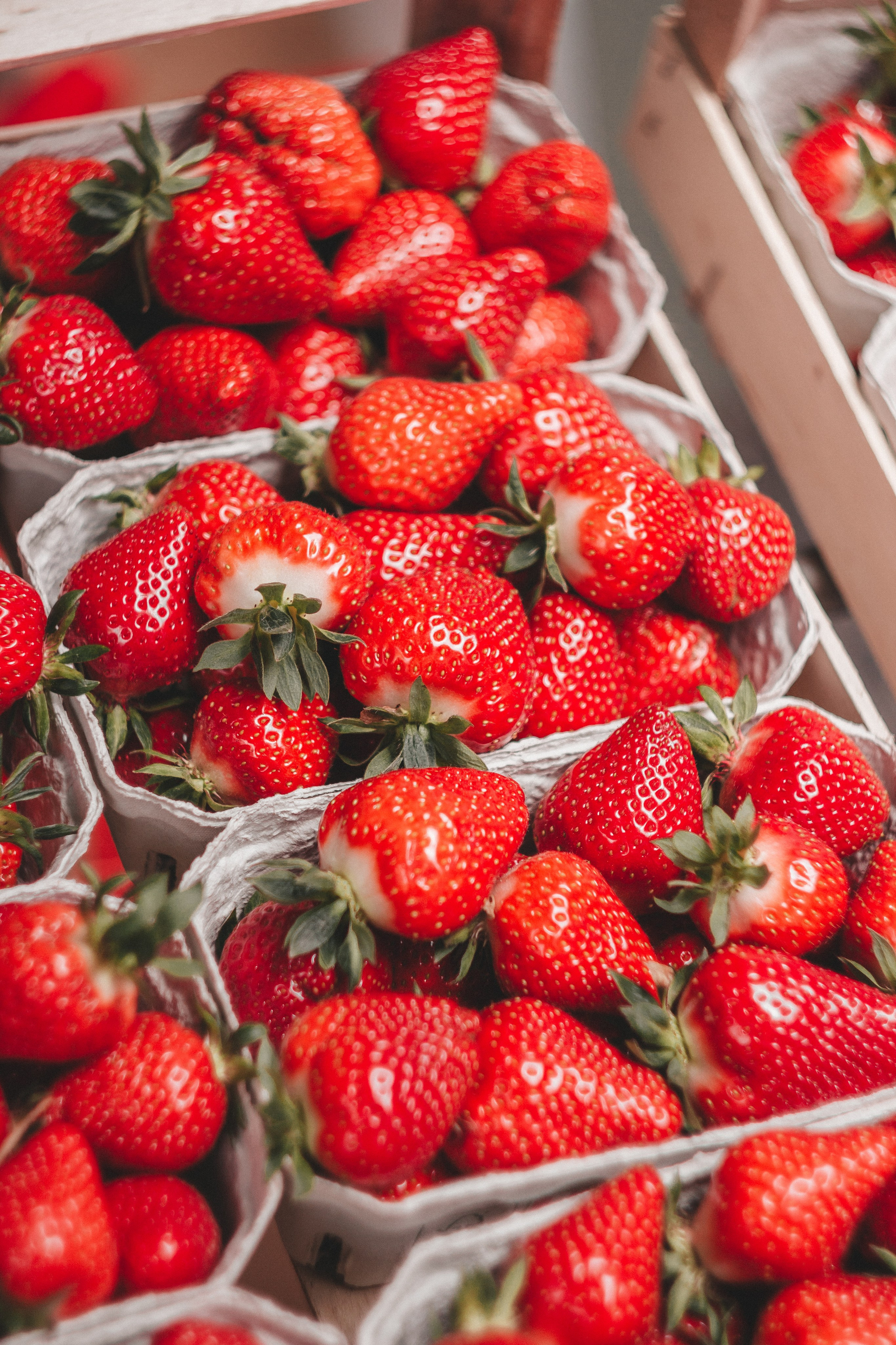 Oberkircher Erdbeerfest. Maria Chistyakovа — Fotografin in Karlsruhe, Baden-Baden und Umgebung