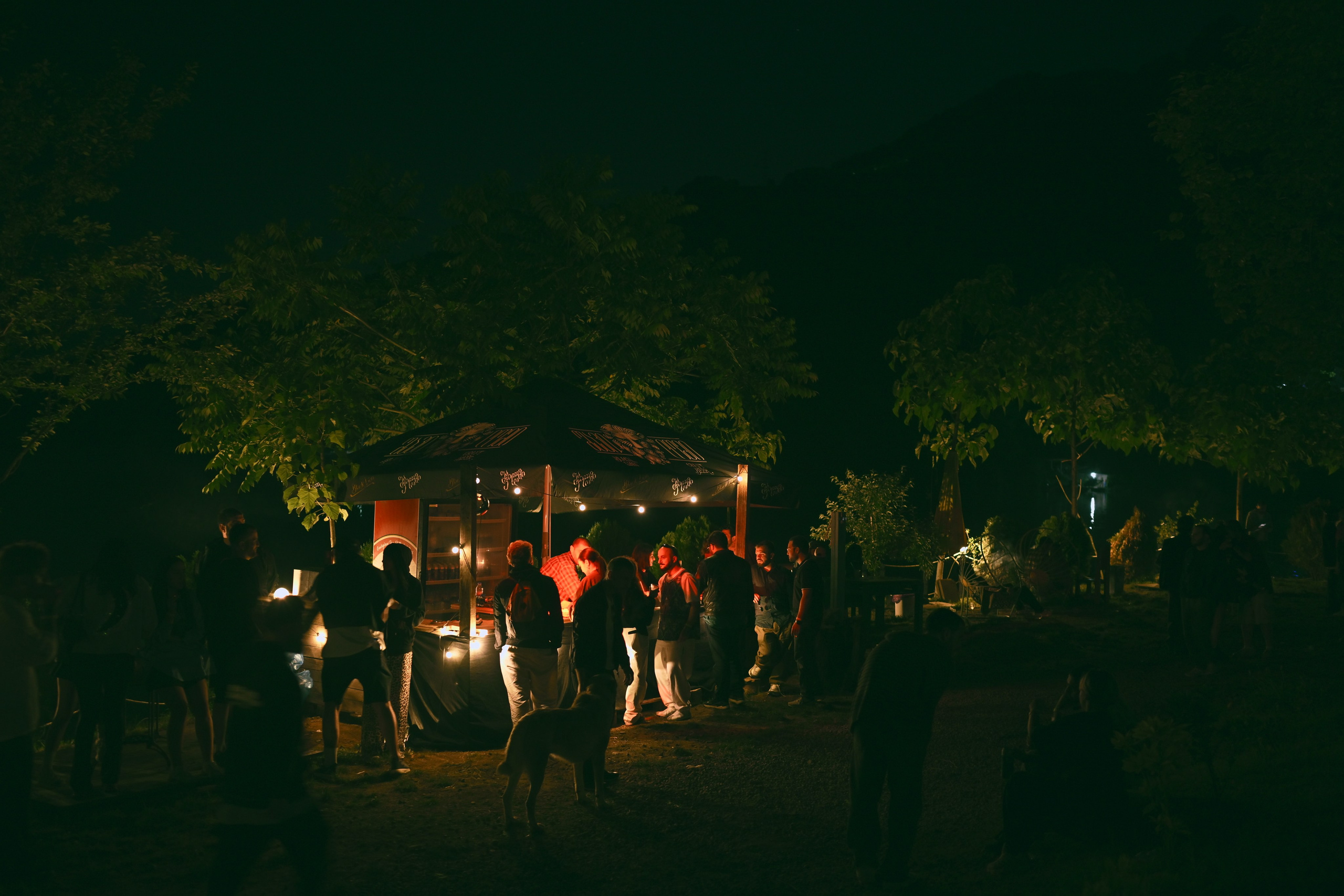 Event. Photographer vakho