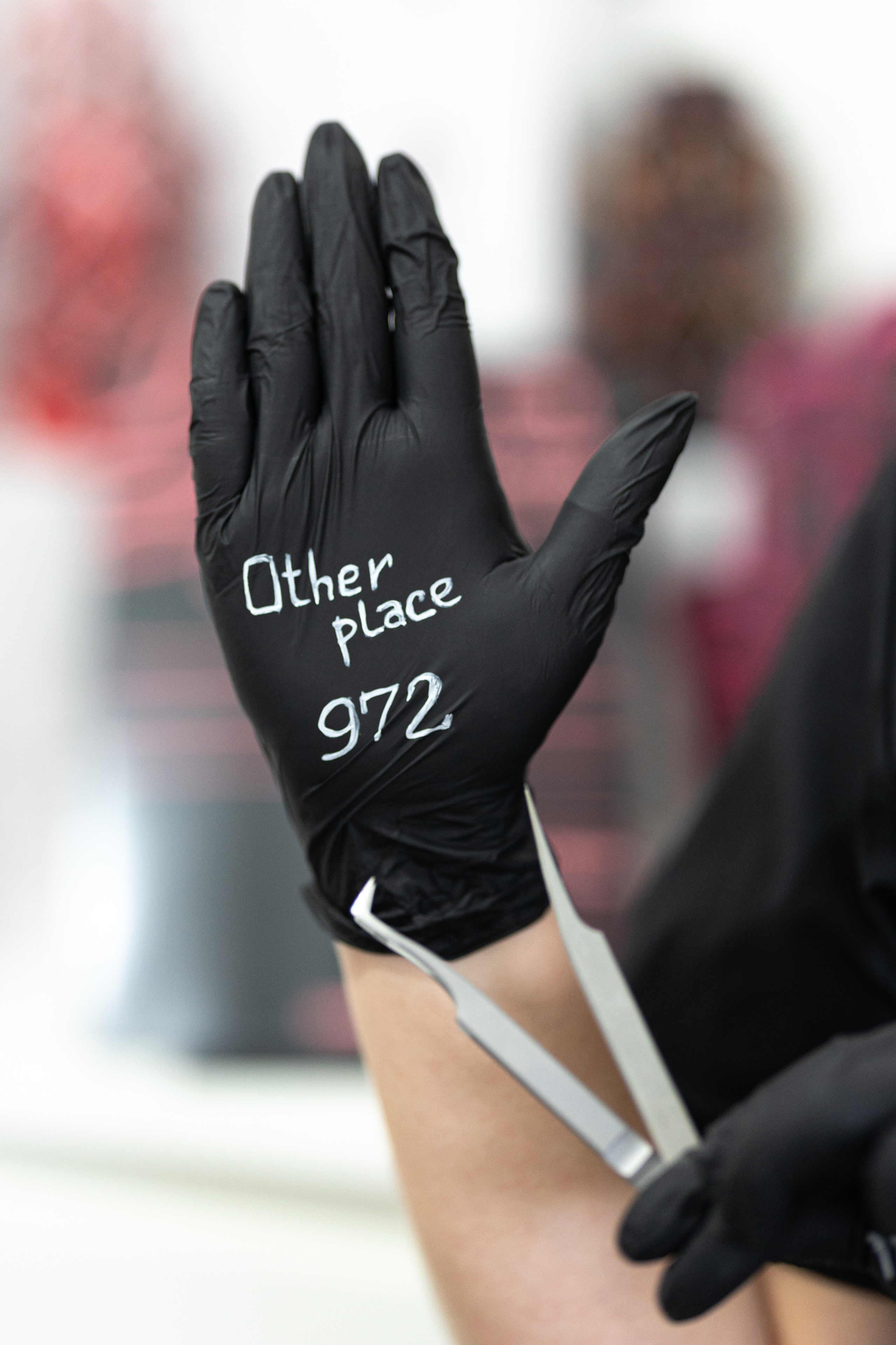 Business. Time machine Studio