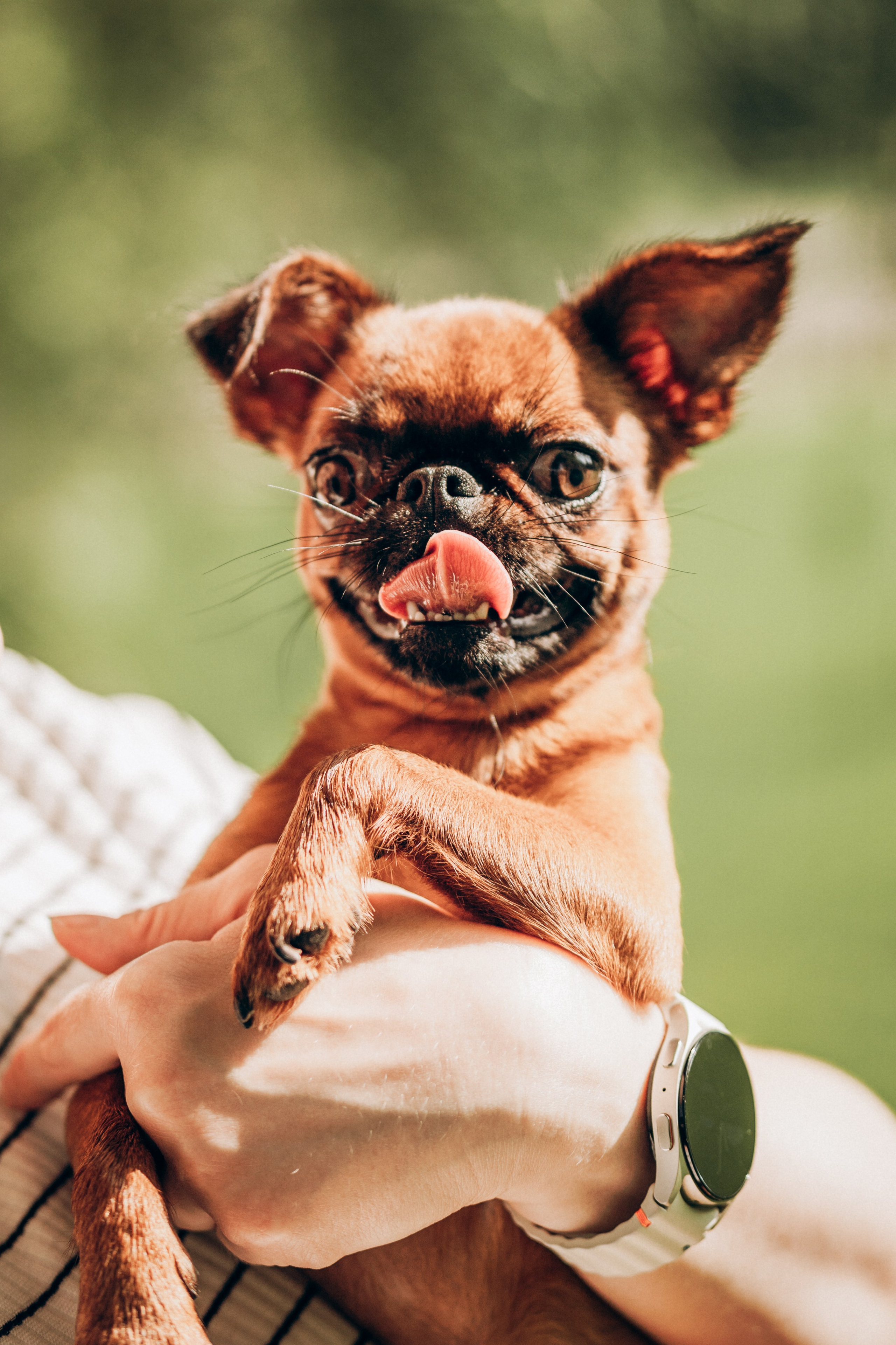 Natalia, Janik, Nusha & Betty. Фотограф-анималист в Таллинне, Катя Лайсаар