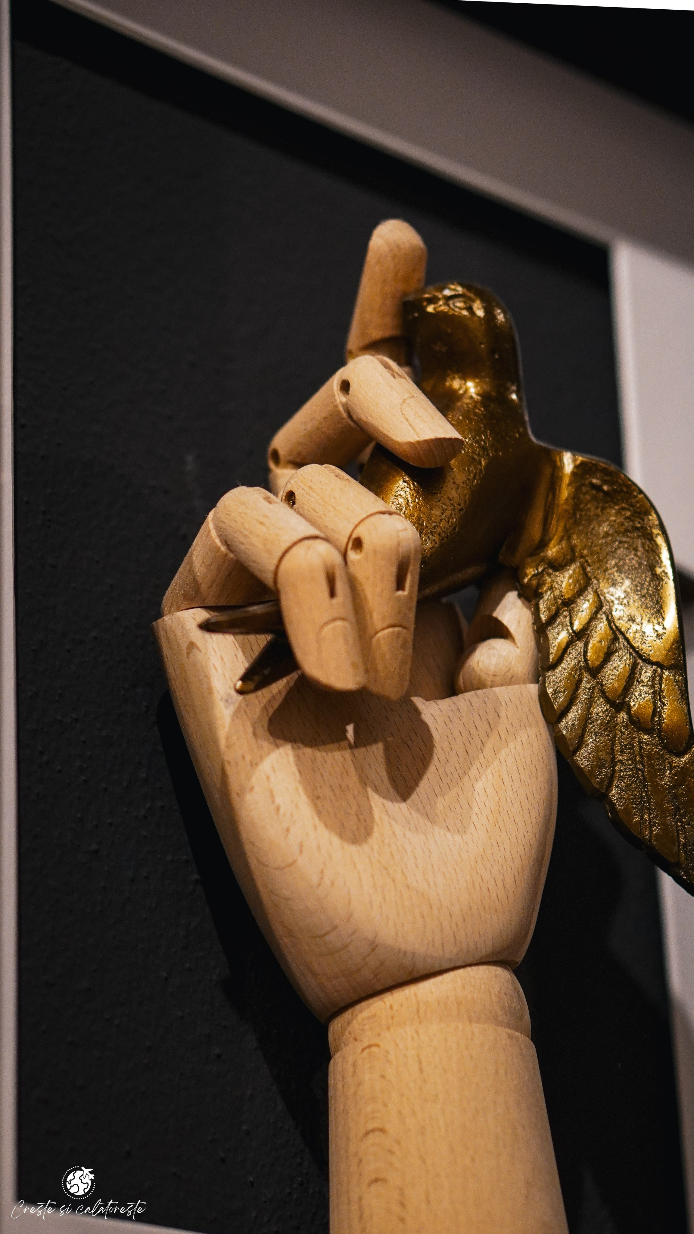 Bransilvania. Creste si calatoreste