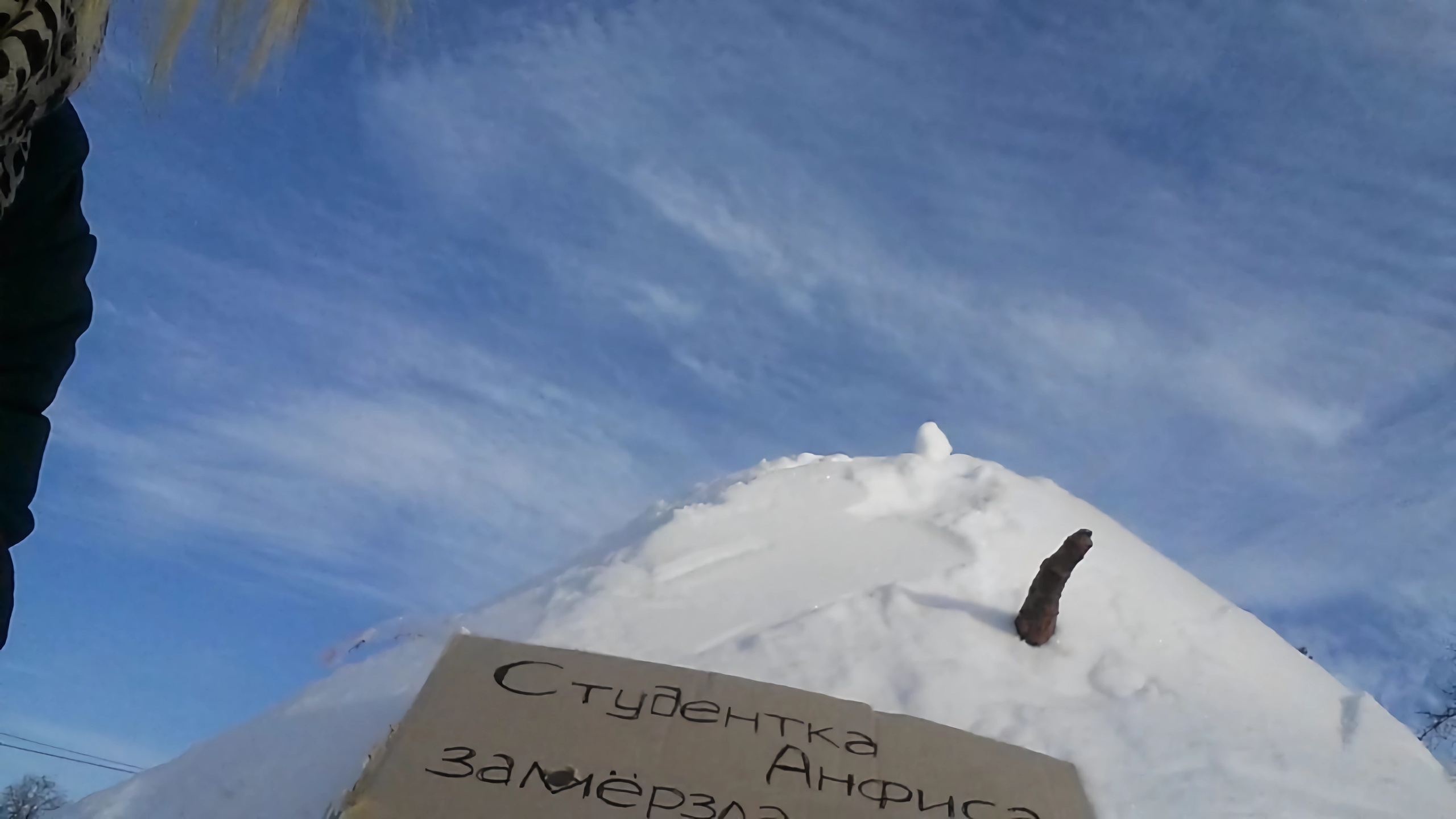 “Student Anfisa froze while waiting for the bus. Keep Anfisa warm".