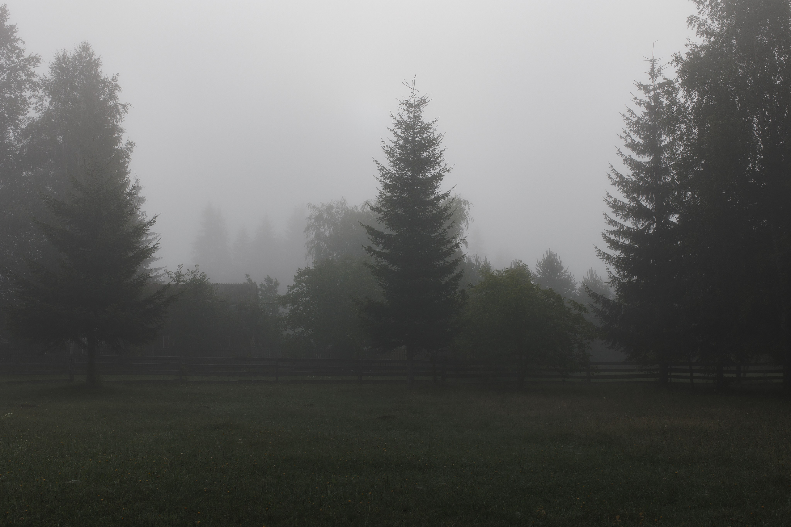 Airbnb photos. Patricia Morenci — Mountain Adventures for the Wild at Heart