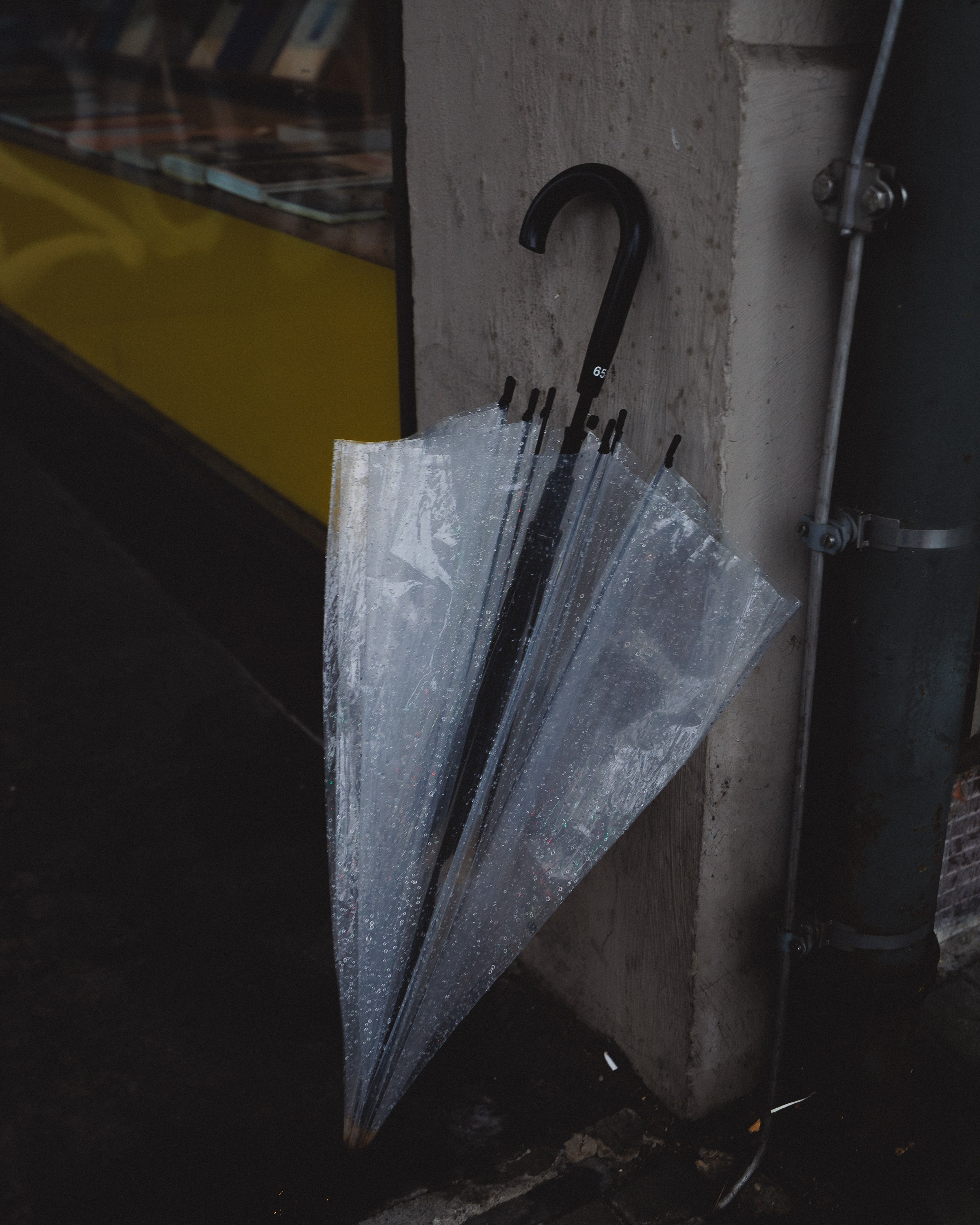 Portrait Bildgalerie. Deine Fotografin aus Baden-Württemberg und der Südpfalz