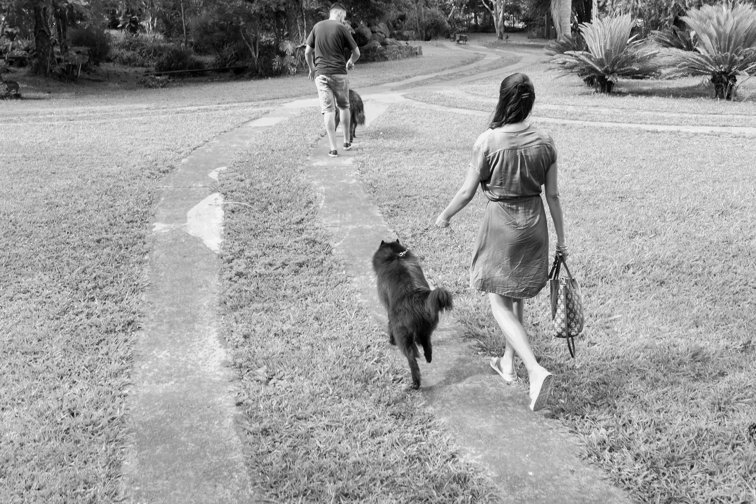 Maru & Dario. Fotografo de casamiento en misiones y fotógrafo de familia  Posadas