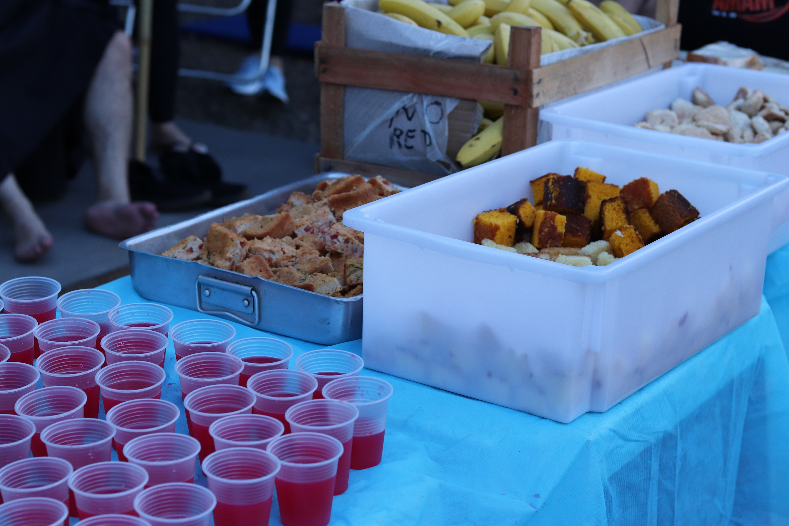 Peregrinação Nossa Senhora de Belém. Handa Produções
