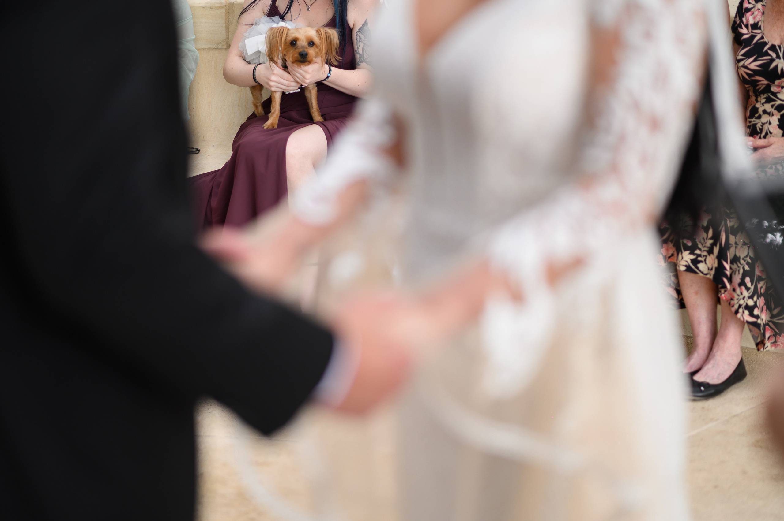 Y + C. Wedding photographer in Orlando, Boston & New York Anderson Marques