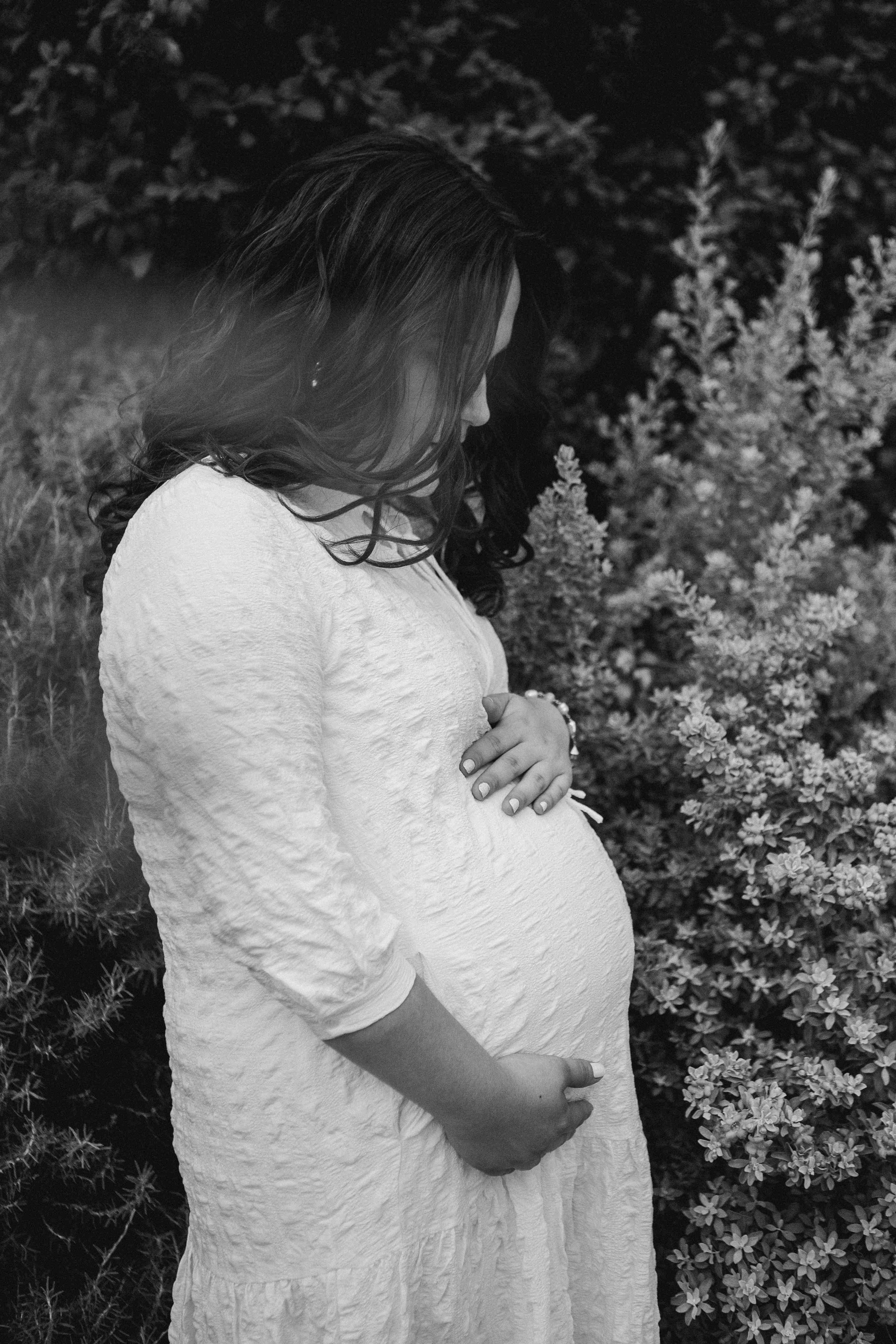 JERUSALEM CENTER. Https://shi-photo.com/