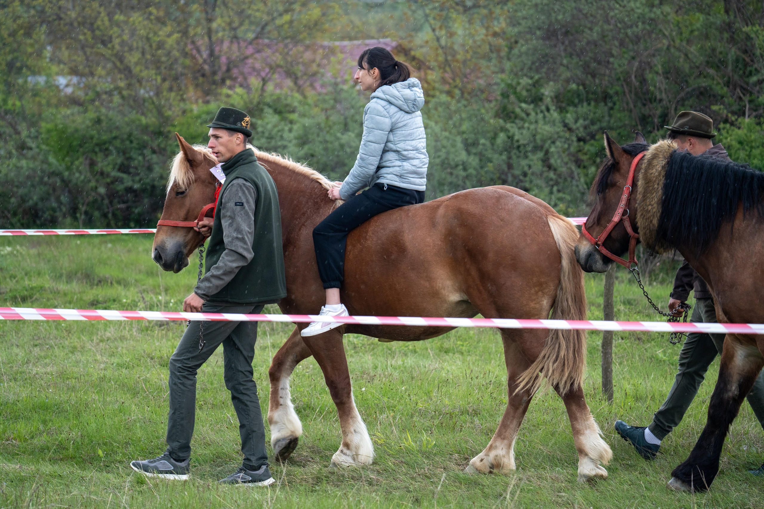 Concurs Ecvestru Vărbilău ediția a 4-a. Mihai Alexandra Events