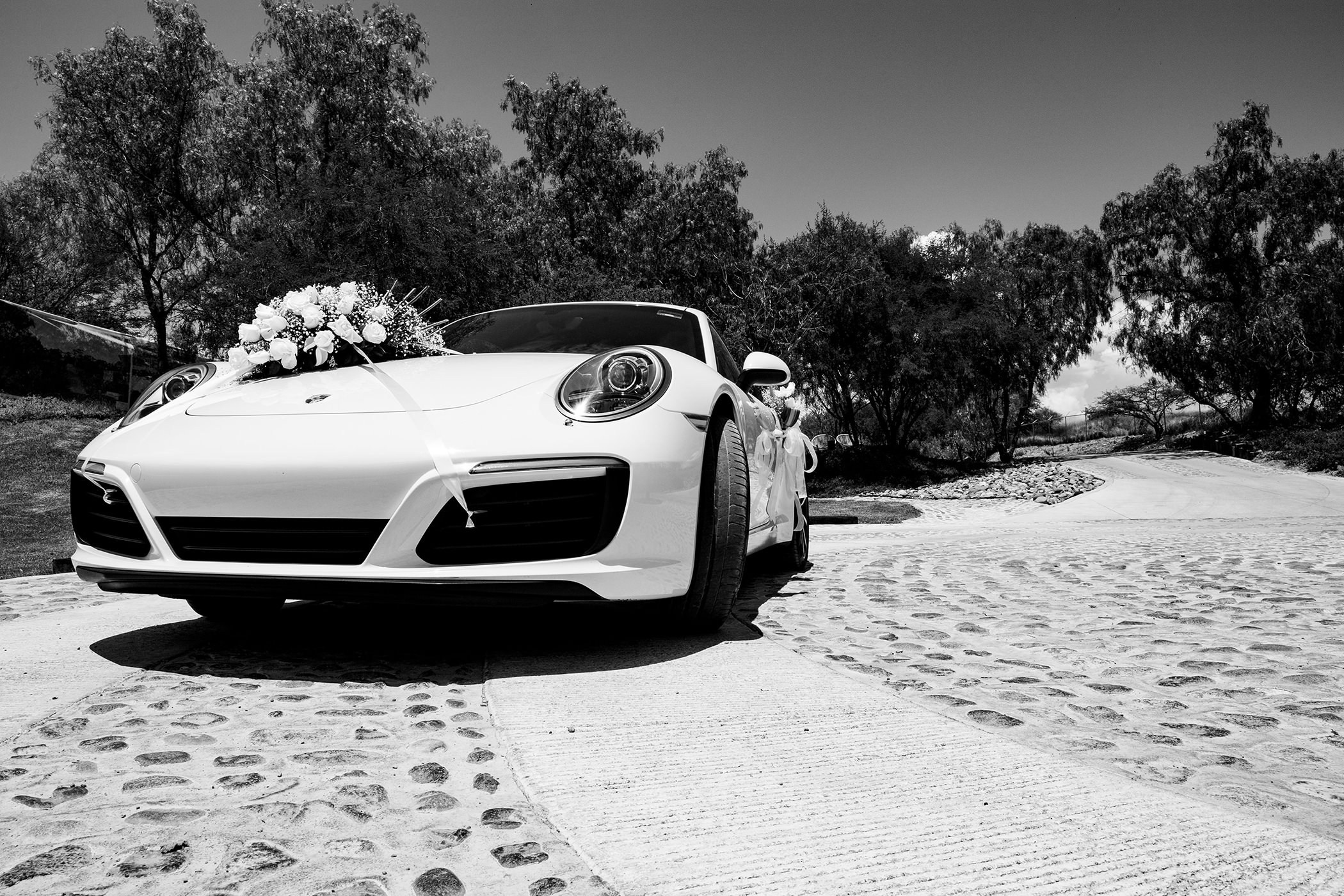 Wedding Day. Principal