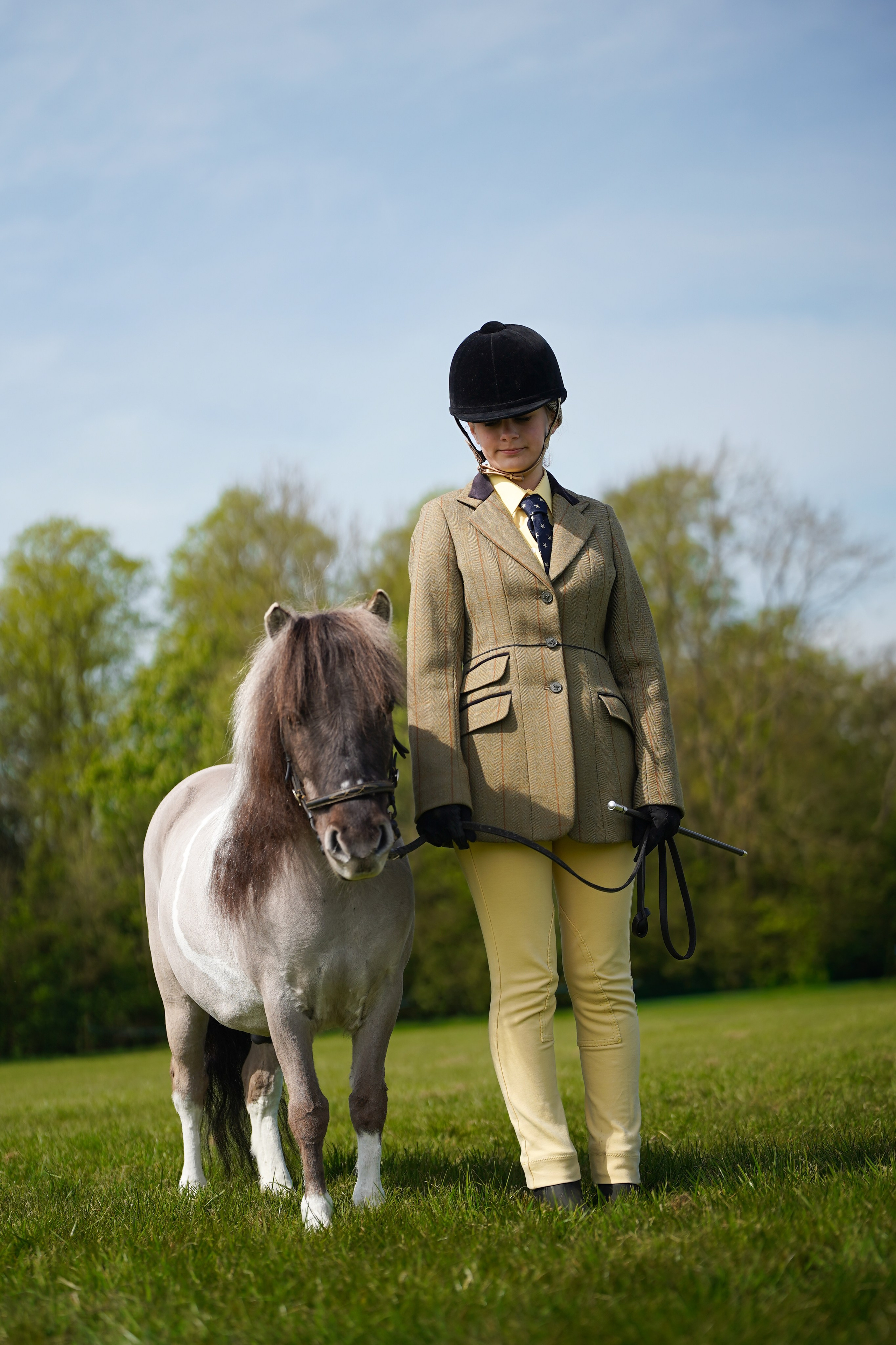 Showing. Leicestershire Equine Photography by El | Authentic Equine Portraits & Events