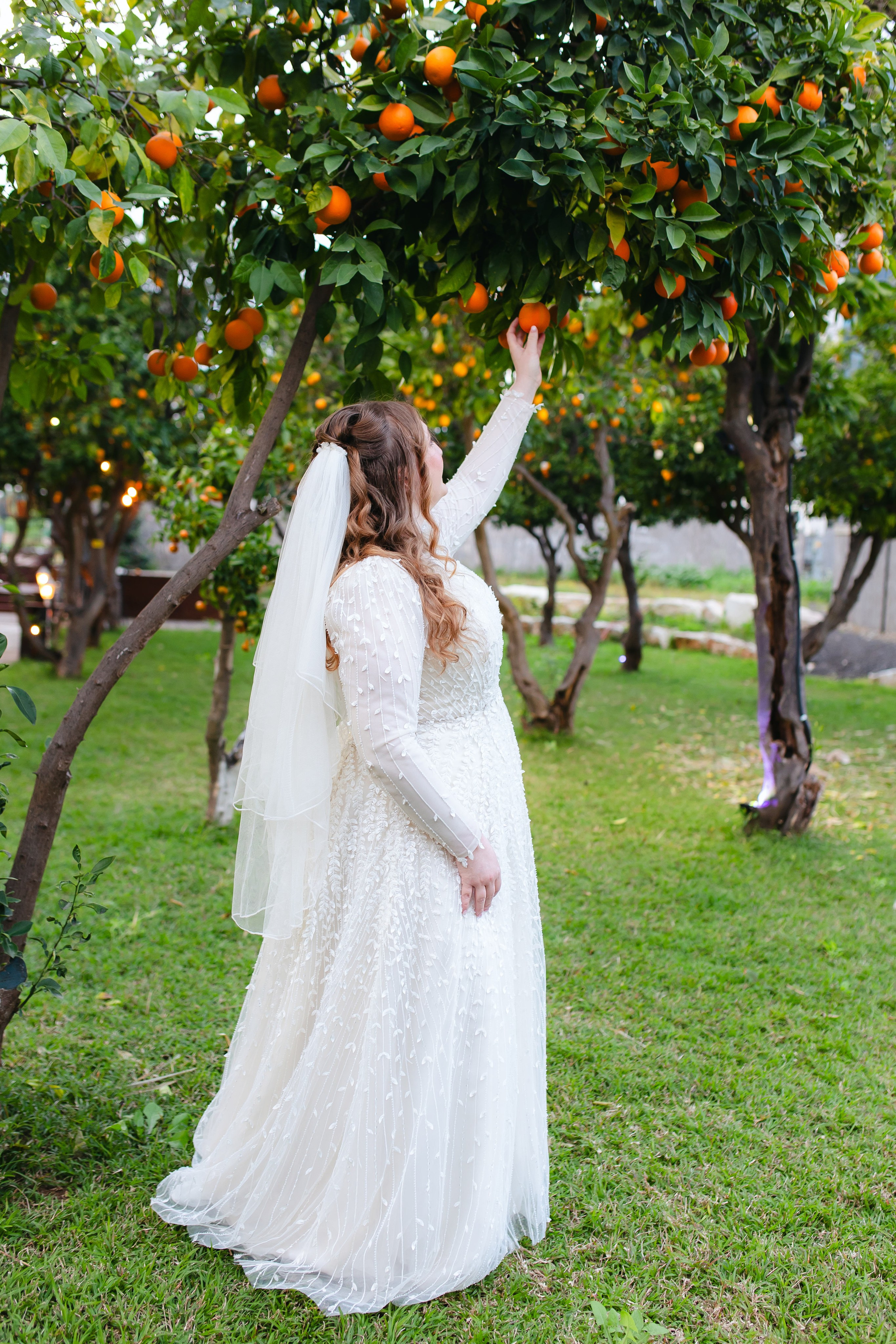 BIG WEDDING IN REHOVOT, PARDES HALL. Https://shi-photo.com/