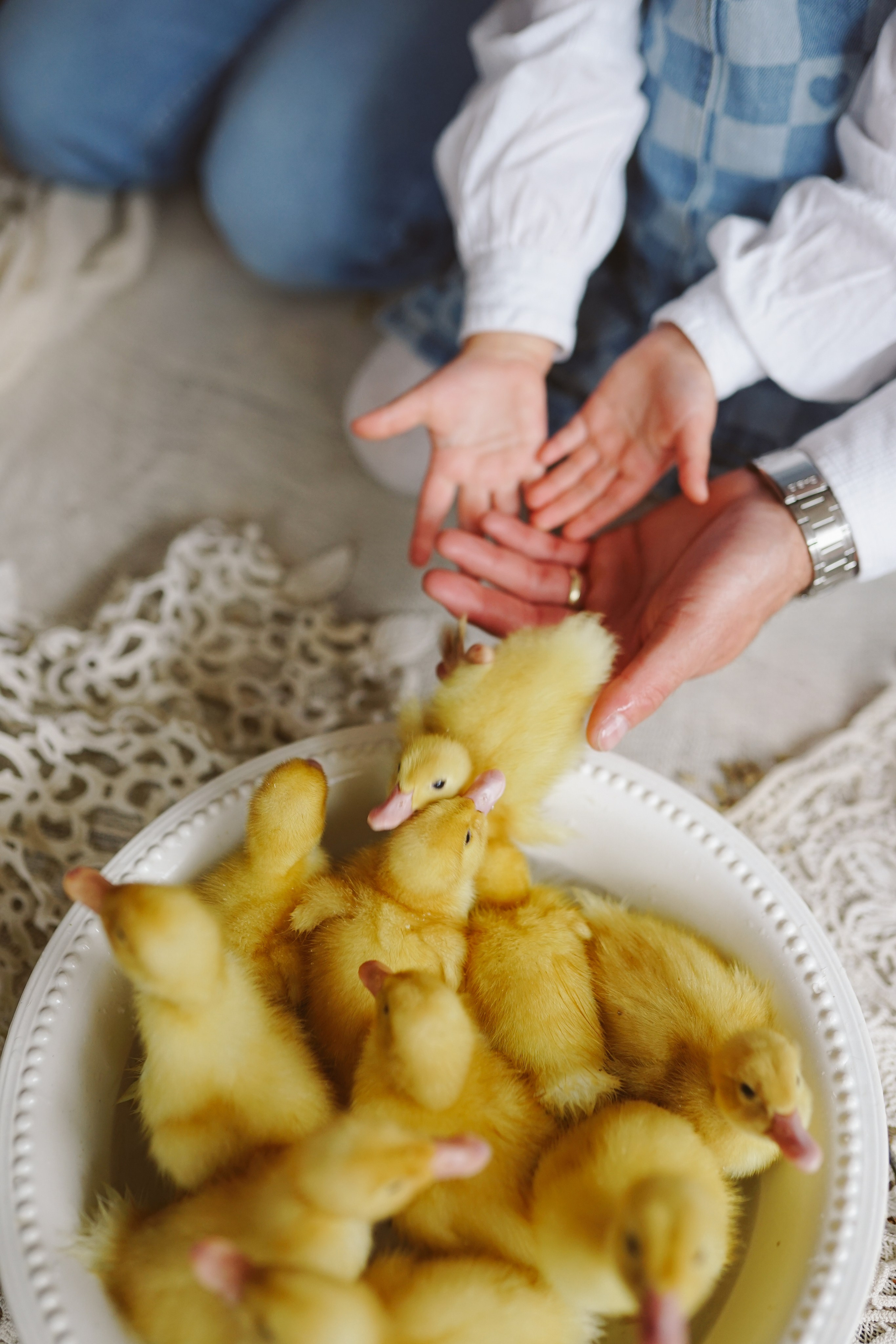 Ședințe Foto de Paște Brașov: Gălbenuș | Mădălina Beda. Madalina Beda- Artist vizual, fotograf, doula la nastere, consultant babywearing Brasov si in toata tara