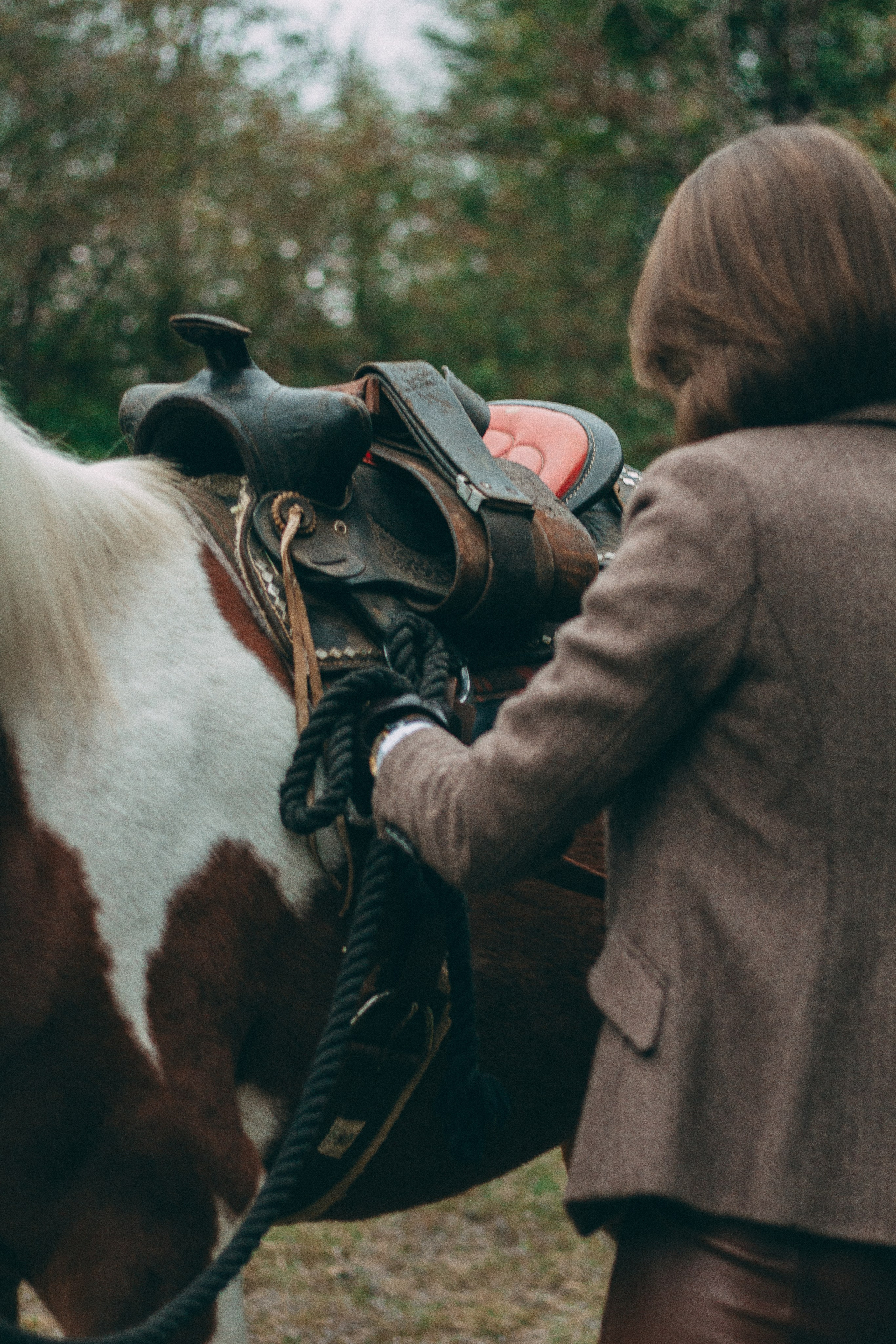 Horse. Family photographer in Vancouver WA Portland OR