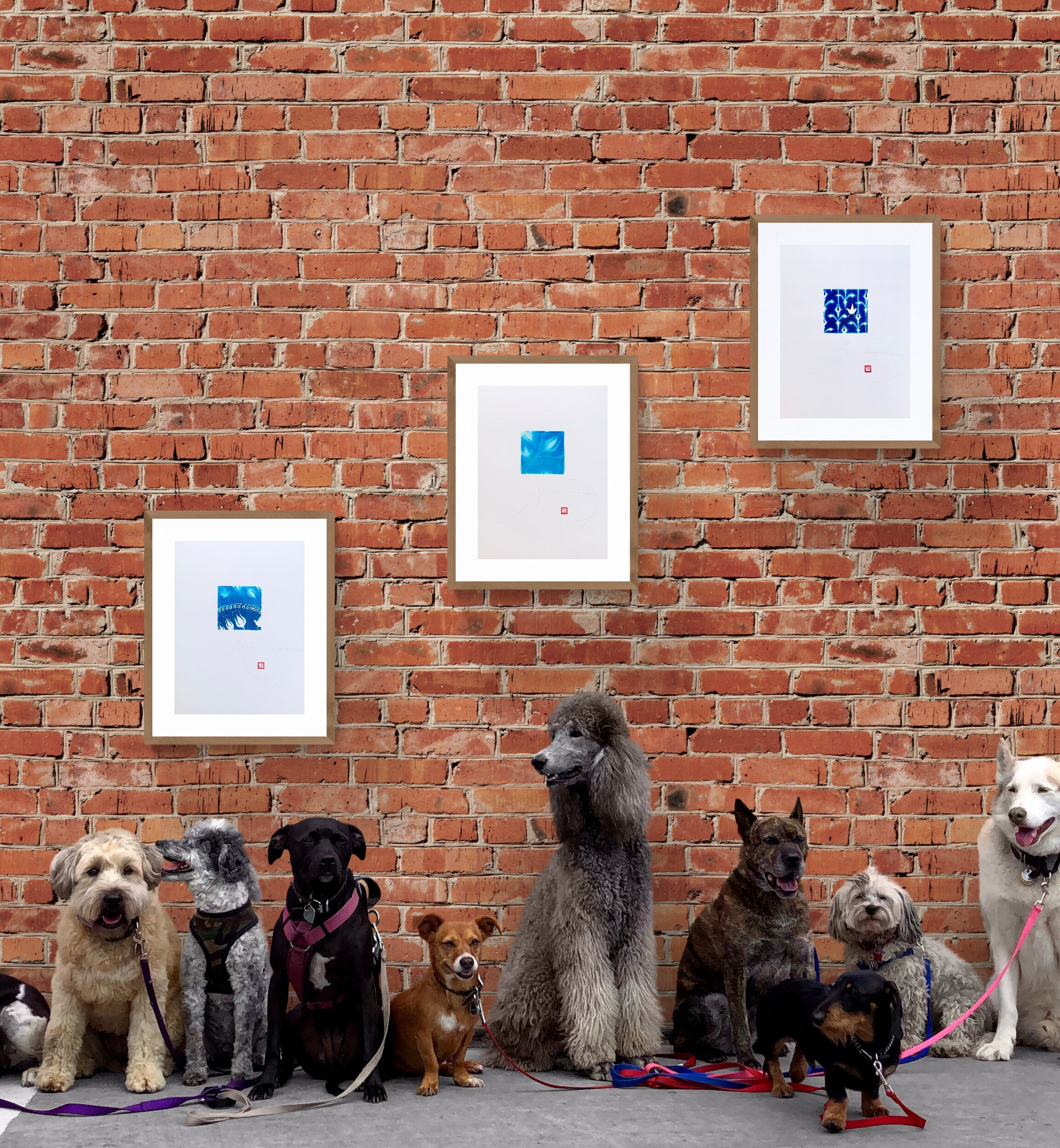 Opera floreale stilizzata in bianco e blu, stampa digitale a tiratura limitata che esplora il colore blu come elemento decorativo e simbolico.