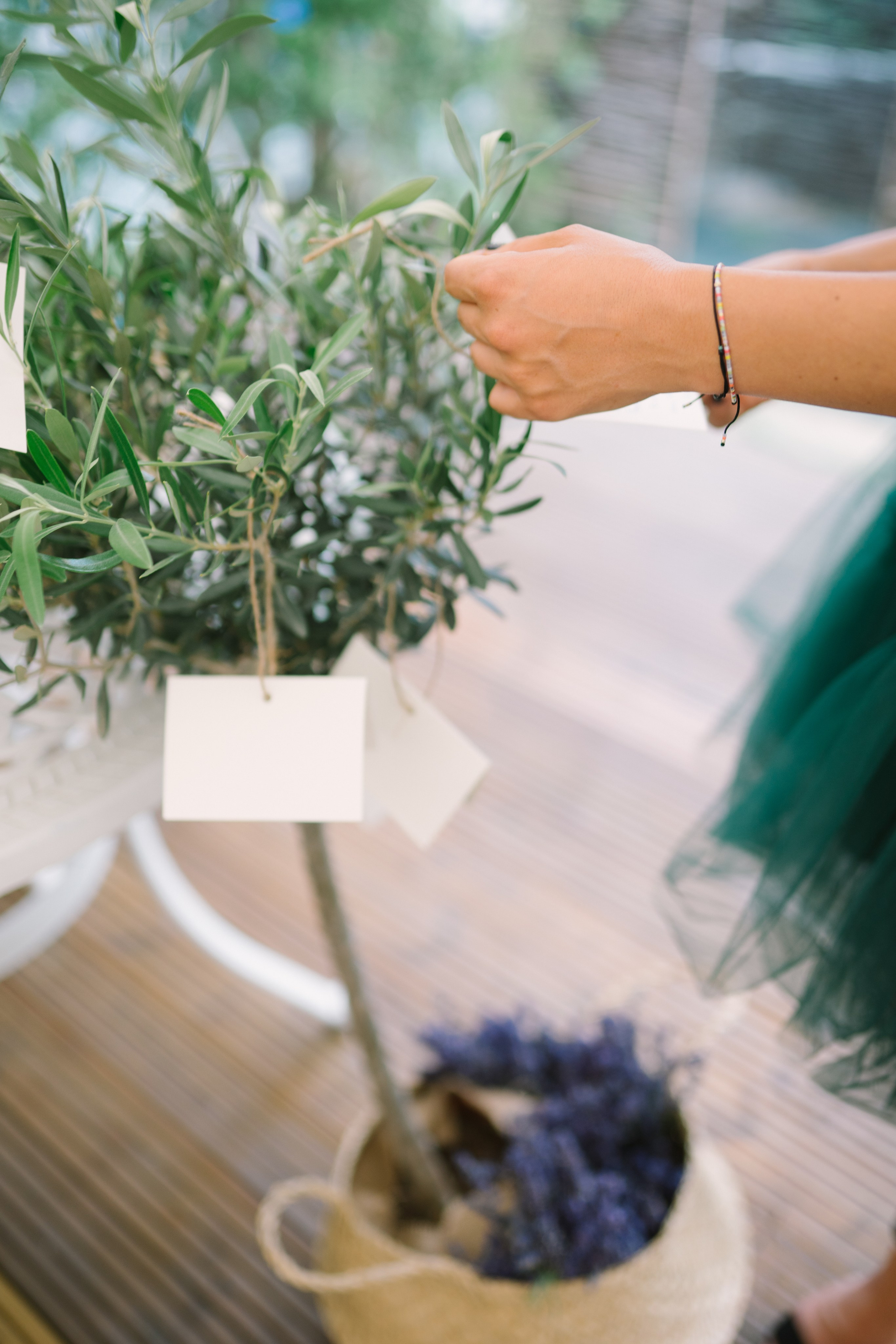 Fotografie de Eveniment Brașov: Povești Vizuale | Mădălina Beda. Madalina Beda- Artist vizual, fotograf, doula la nastere, consultant babywearing Brasov si in toata tara