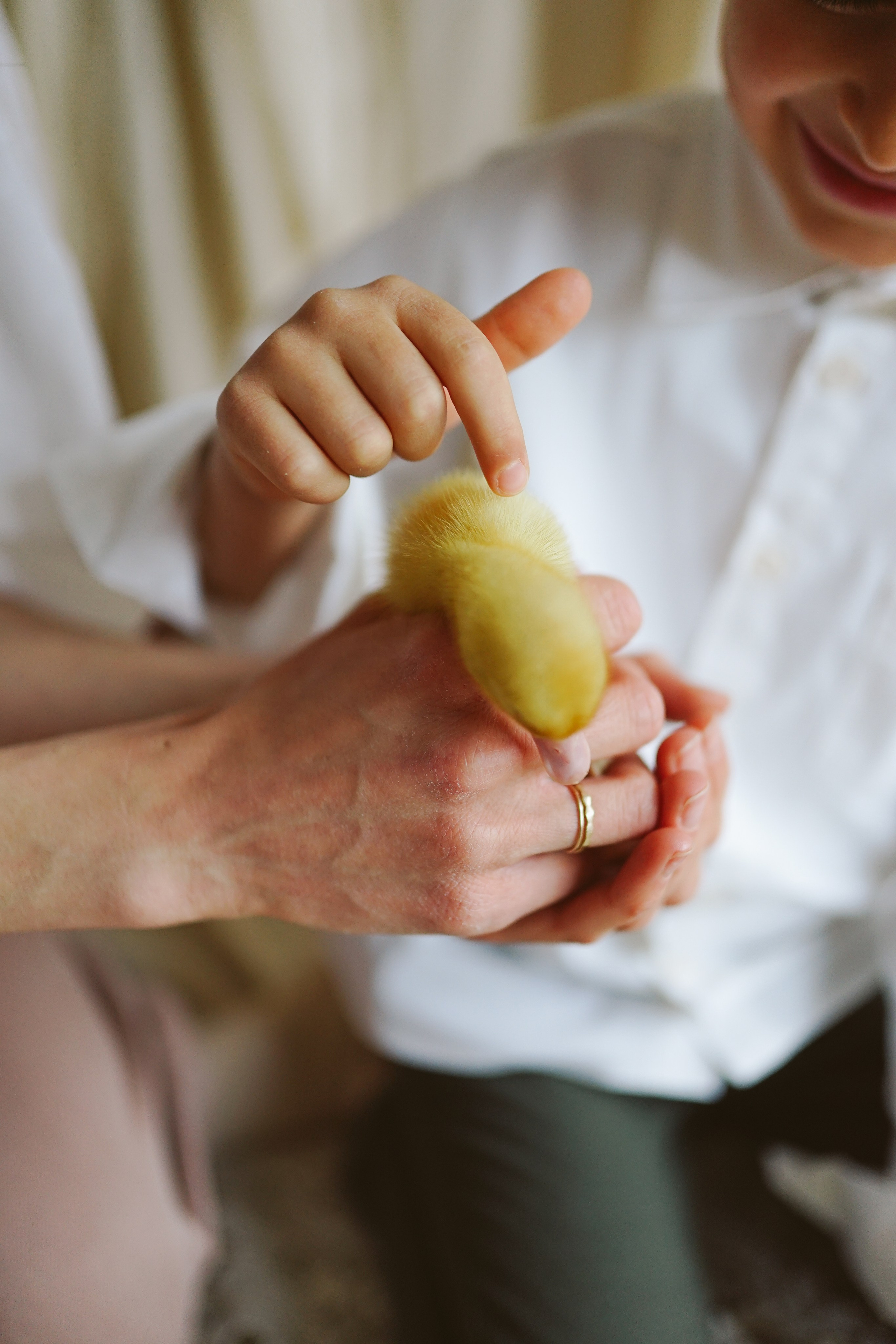 Ședințe Foto de Paște Brașov: Gălbenuș | Mădălina Beda. Madalina Beda- Artist vizual, fotograf, doula la nastere, consultant babywearing Brasov si in toata tara