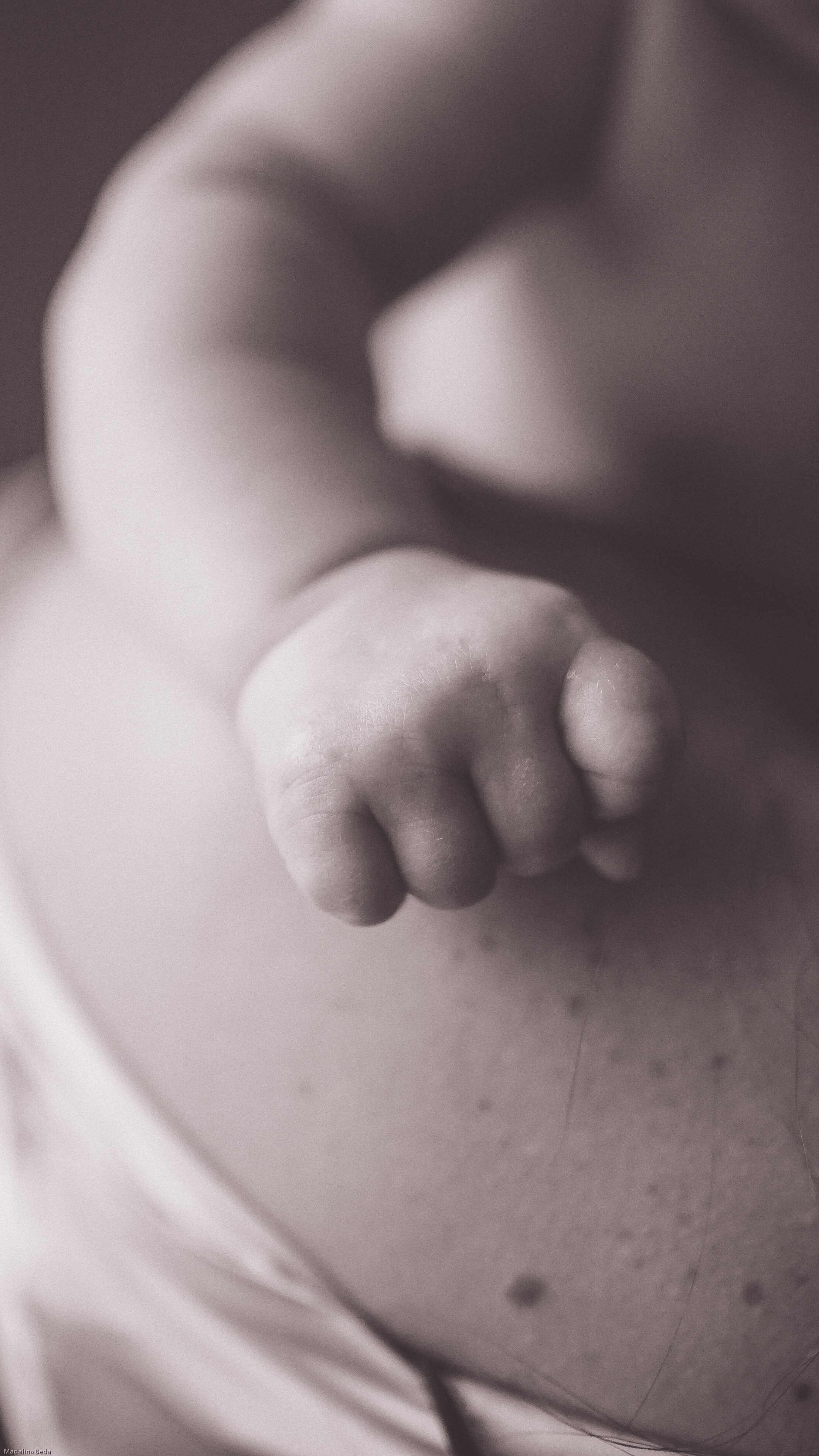 Mother Earth: Proiect de Fotografie Maternitate | Mădălina Beda. Madalina Beda- Artist vizual, fotograf, doula la nastere, consultant babywearing Brasov si in toata tara