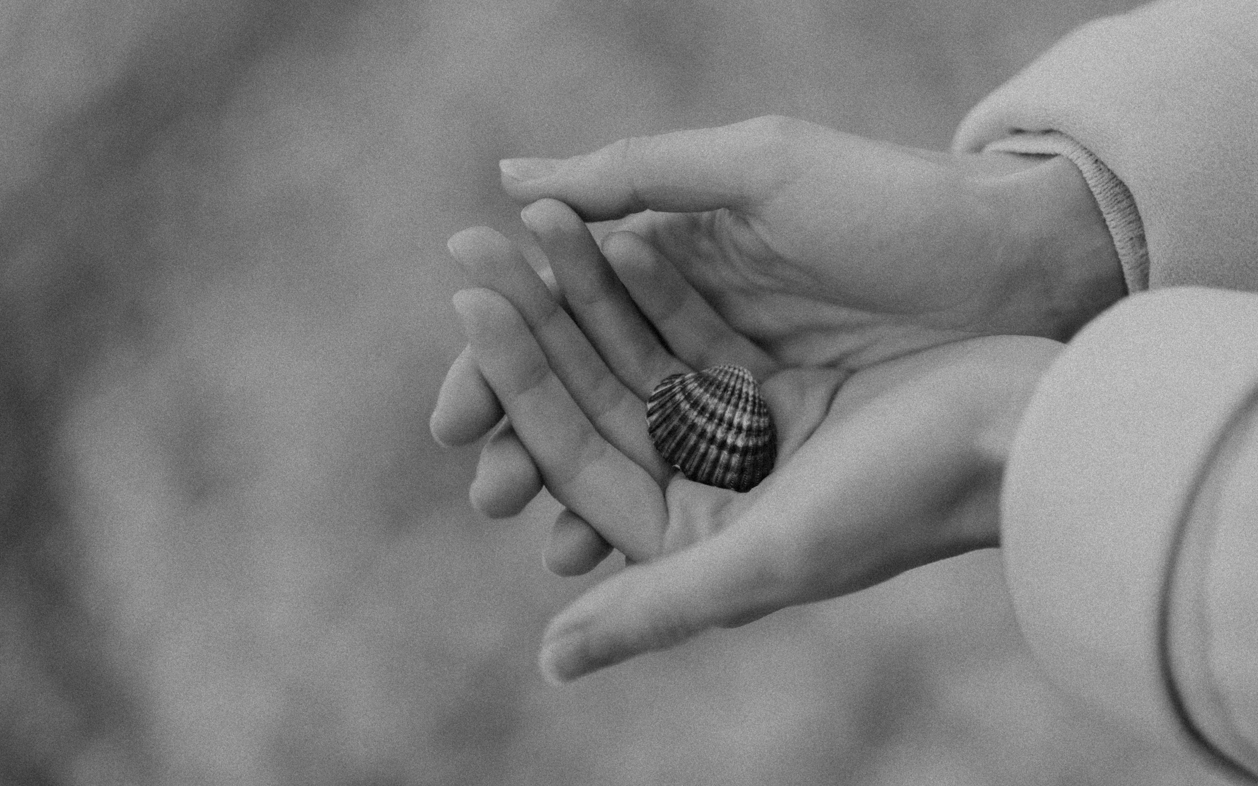 PORTRAIT | BAR. Montenegro photographer and videographer
