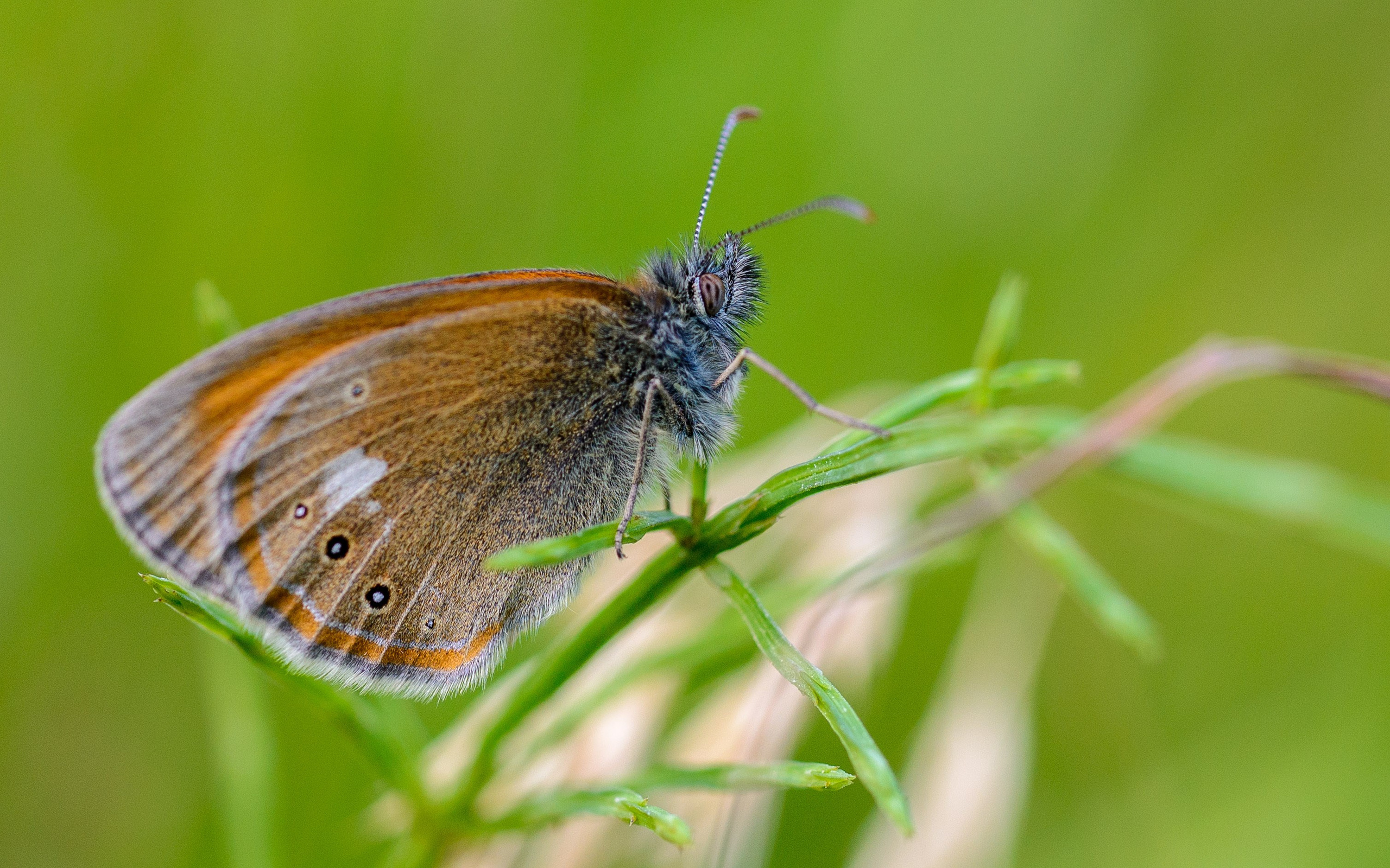 Nature. Ritvars Pujats Emotion Photographer