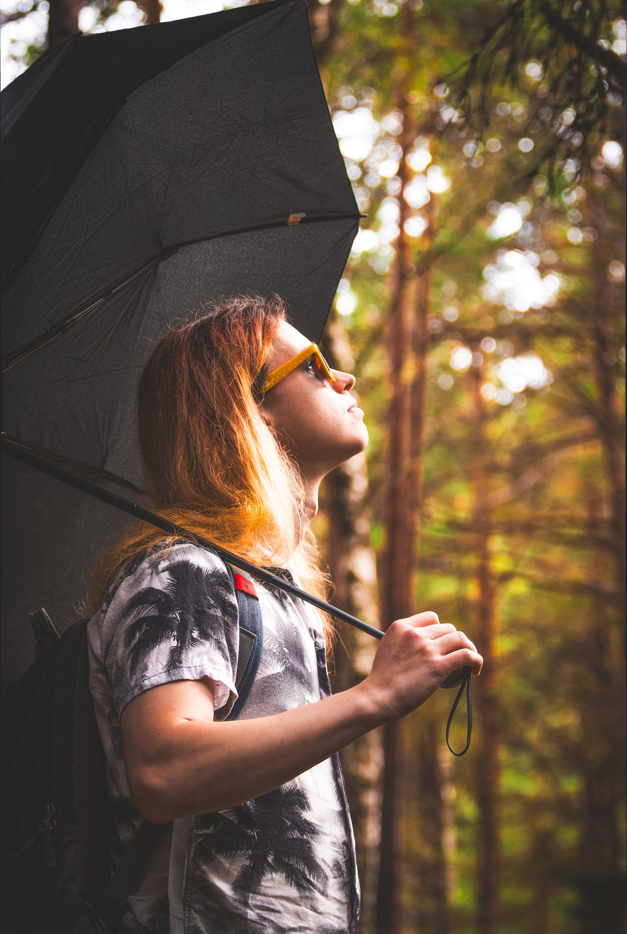 Mets, vihm ja jahedus (Dimitry). Nebula 25 — Fotod teie hingele
