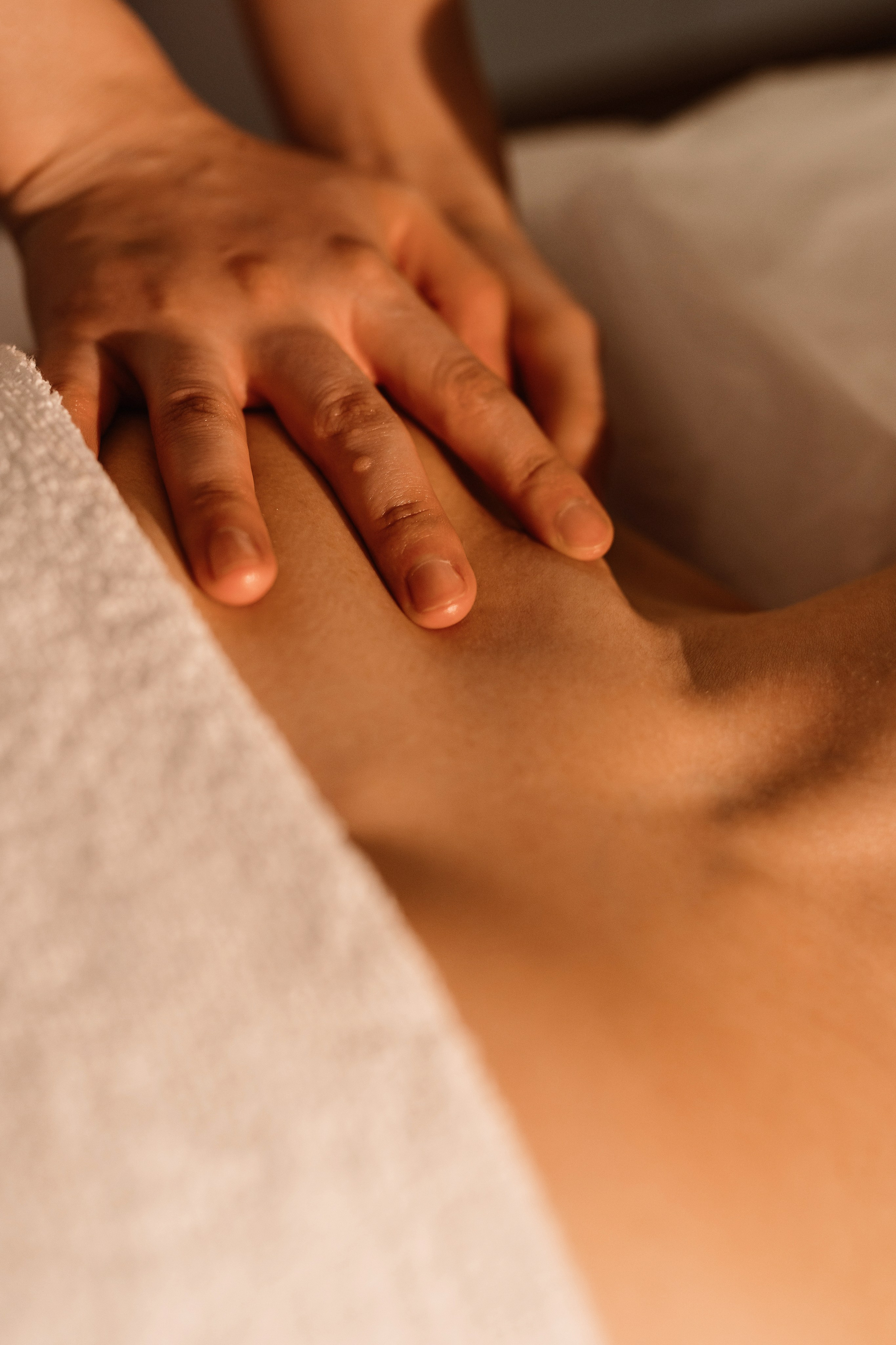 Cattleya | personal branding. Home